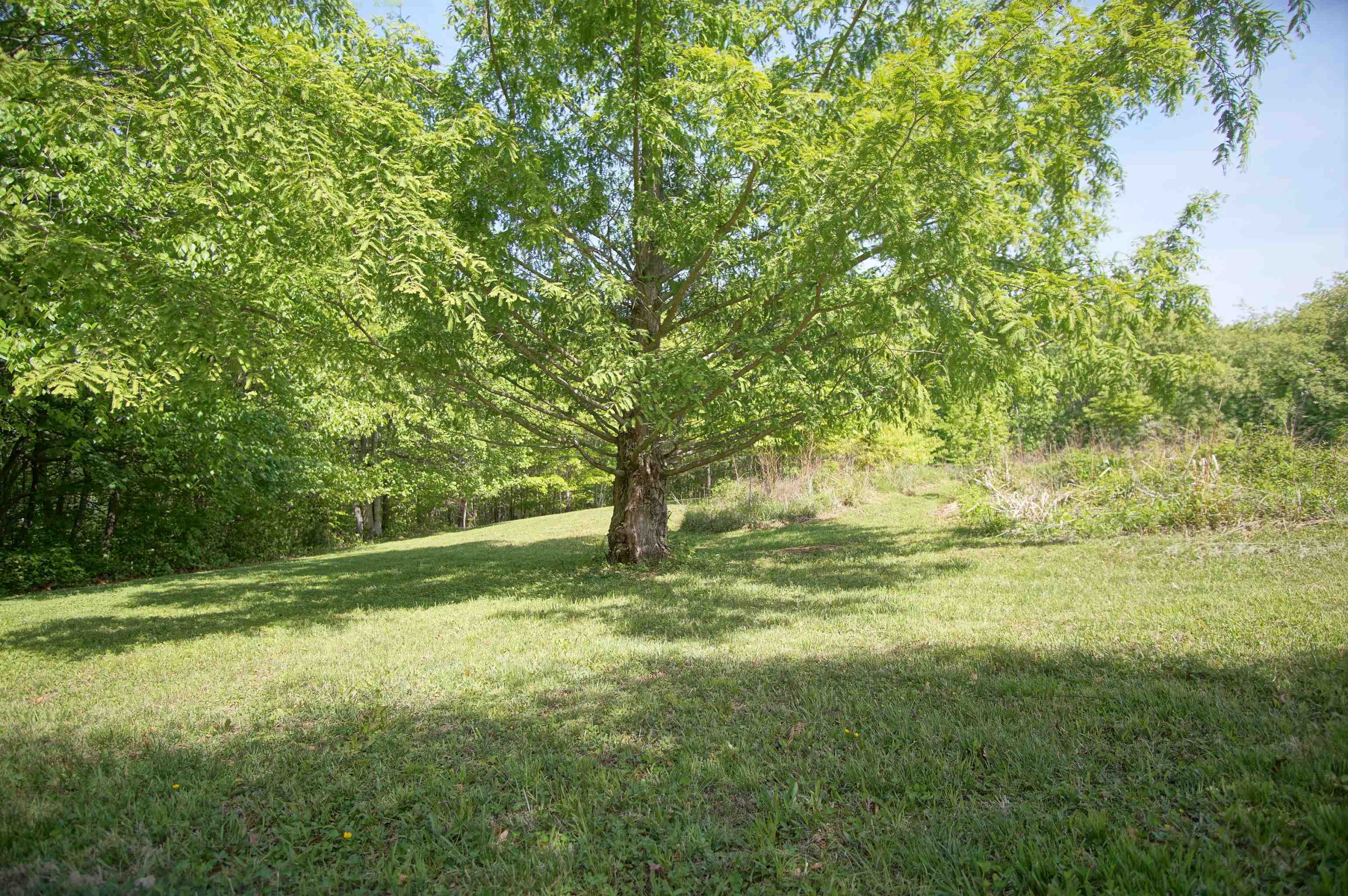 6230 Lilly Road Blacksburg VA 24060
