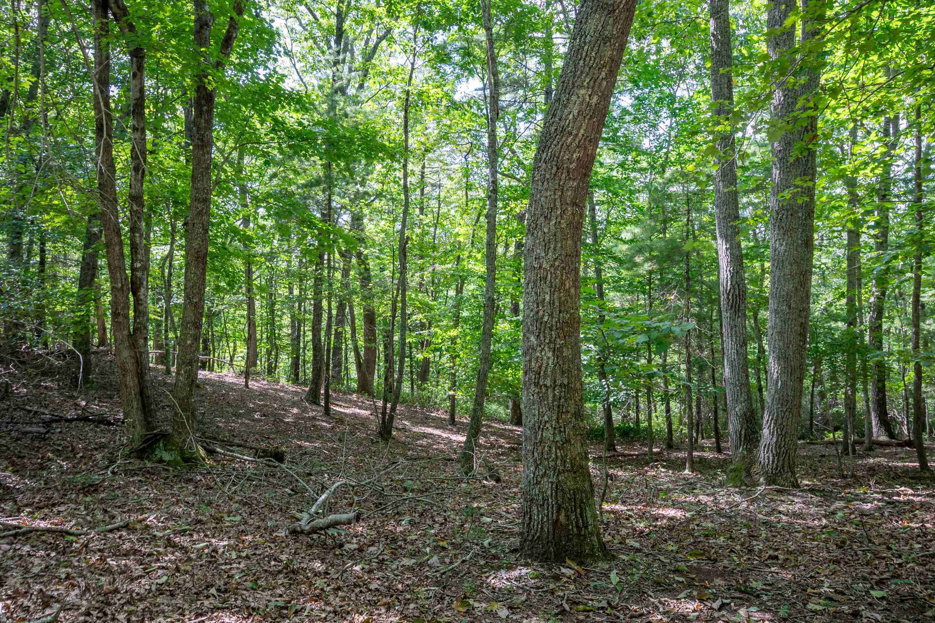 626 Ivy Drive NE Floyd VA 24091