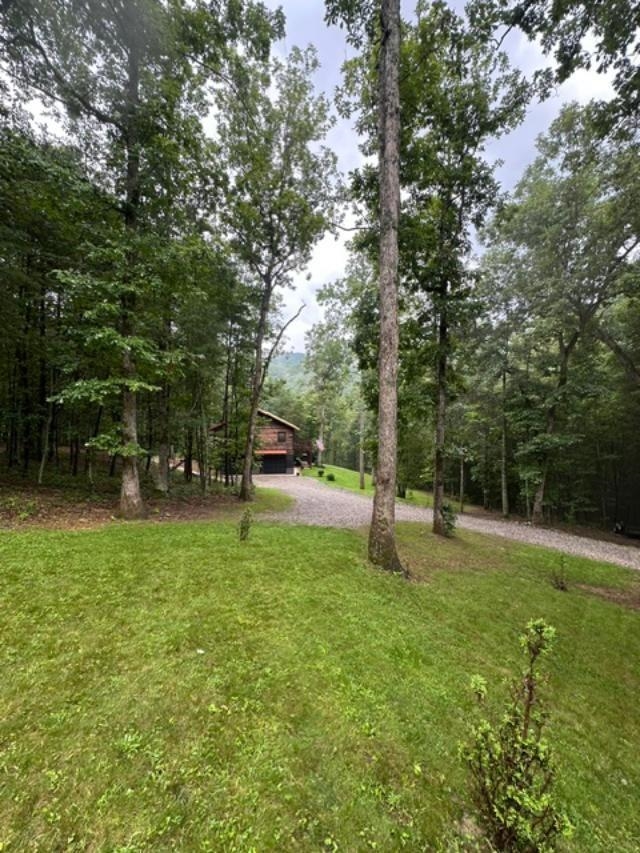 467 River Oaks Drive Austinville VA 24312