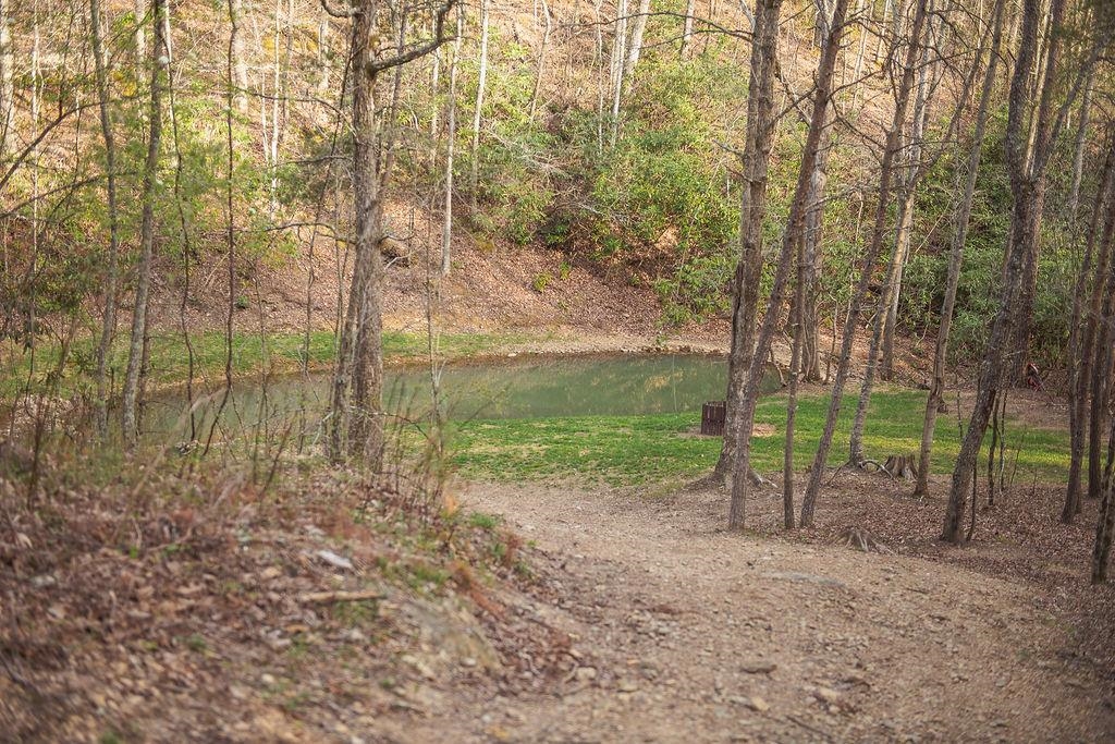 467 River Oaks Drive Austinville VA 24312