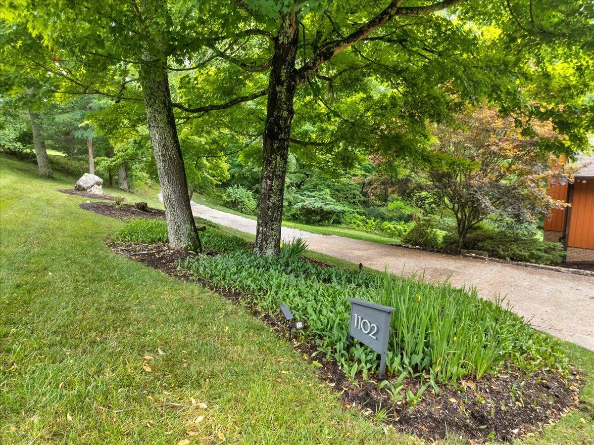 1102 Deerfield Drive Blacksburg VA 24060