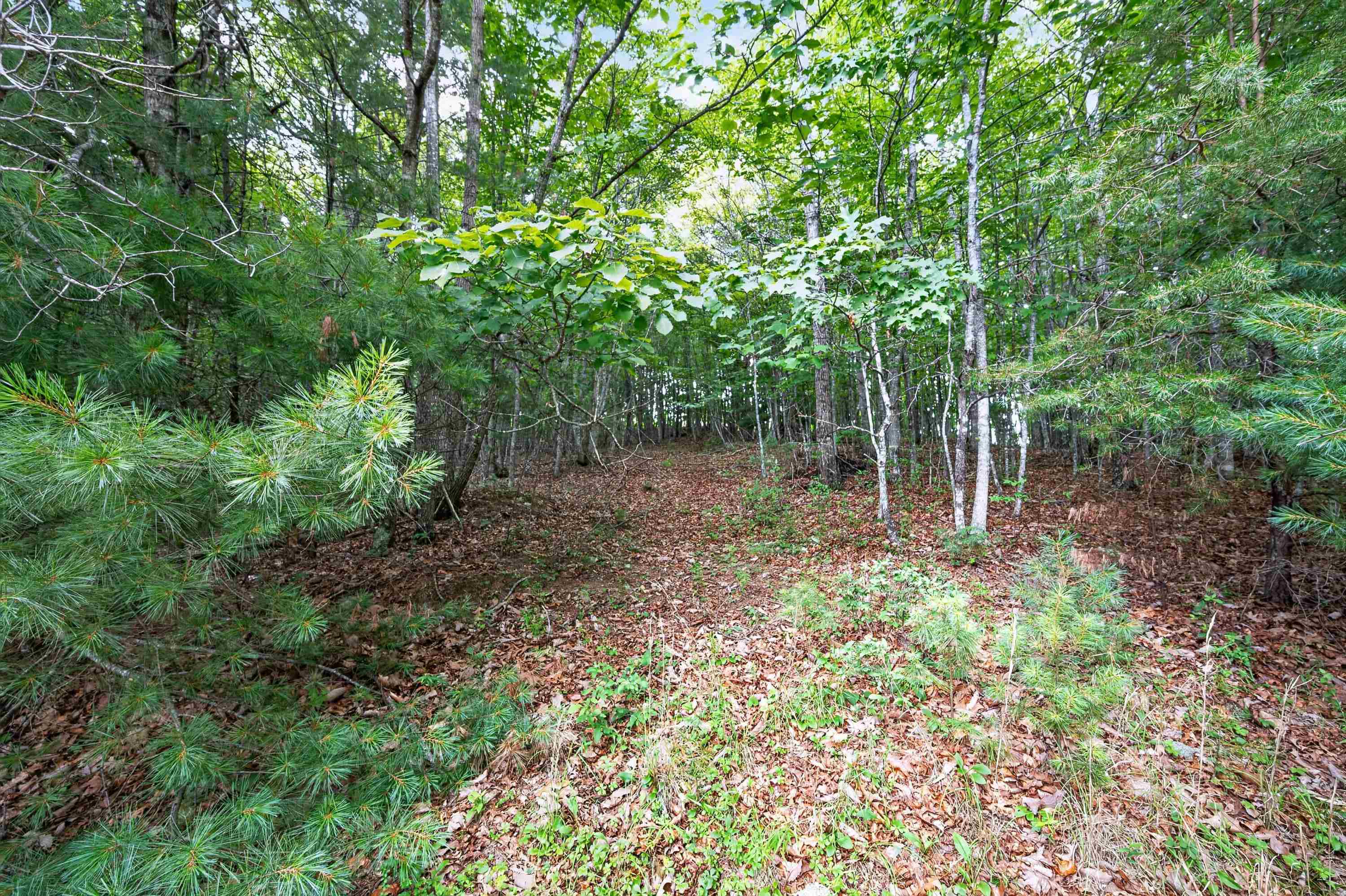 338 Laurel Mountain Lane Woodlawn VA 24381