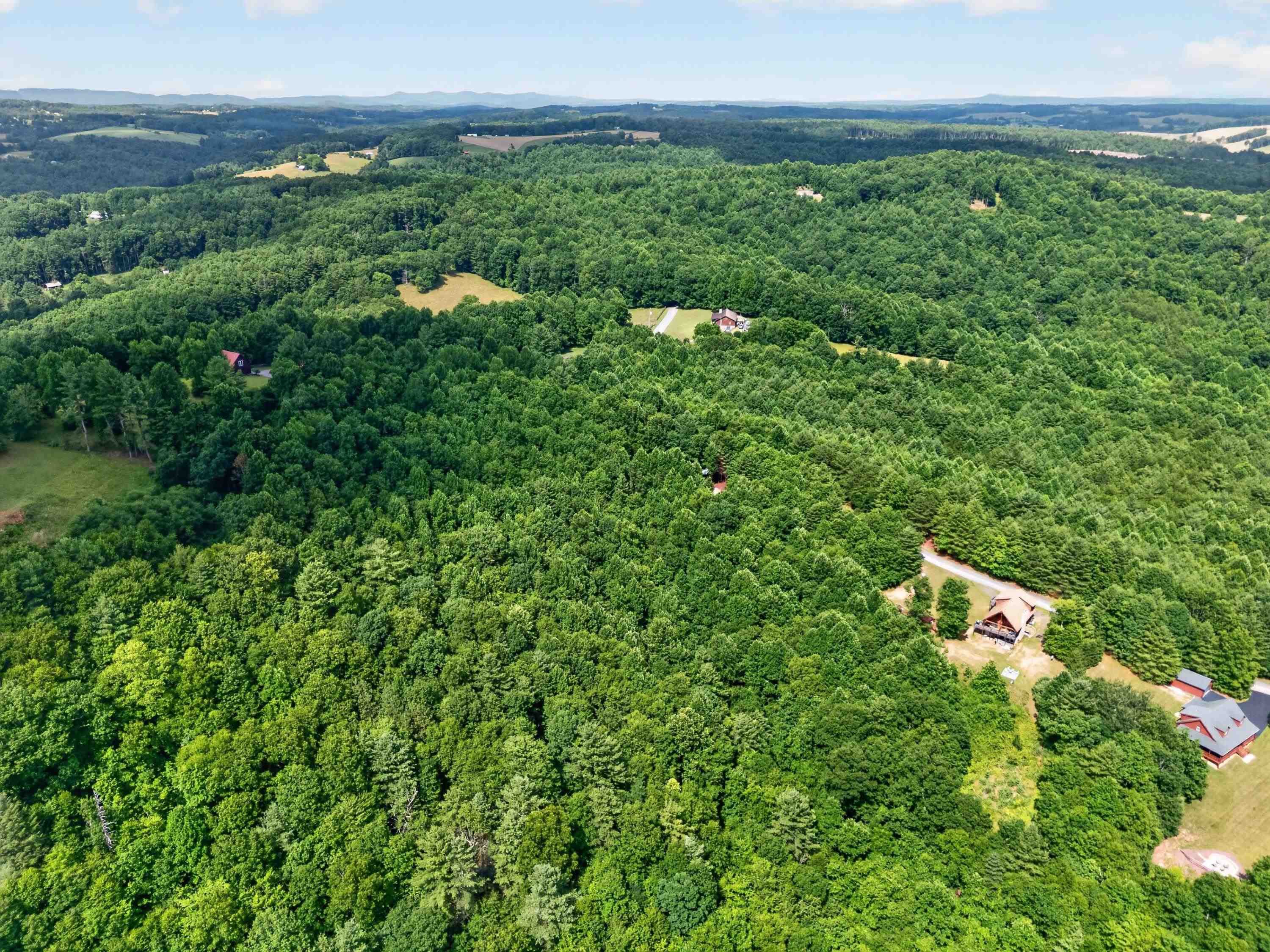 338 Laurel Mountain Lane Woodlawn VA 24381