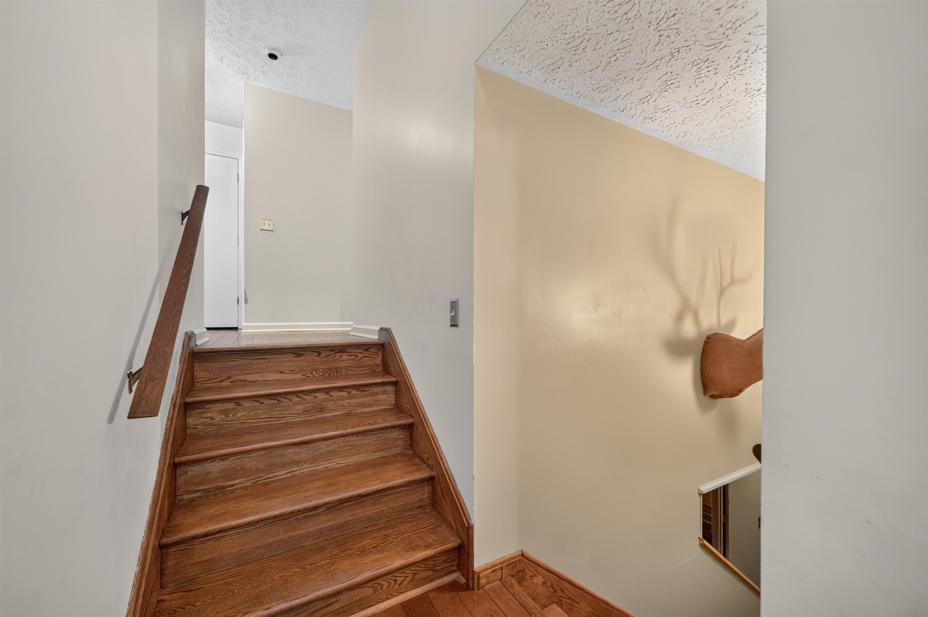 118 Phillipi Road Rural Retreat VA 24368