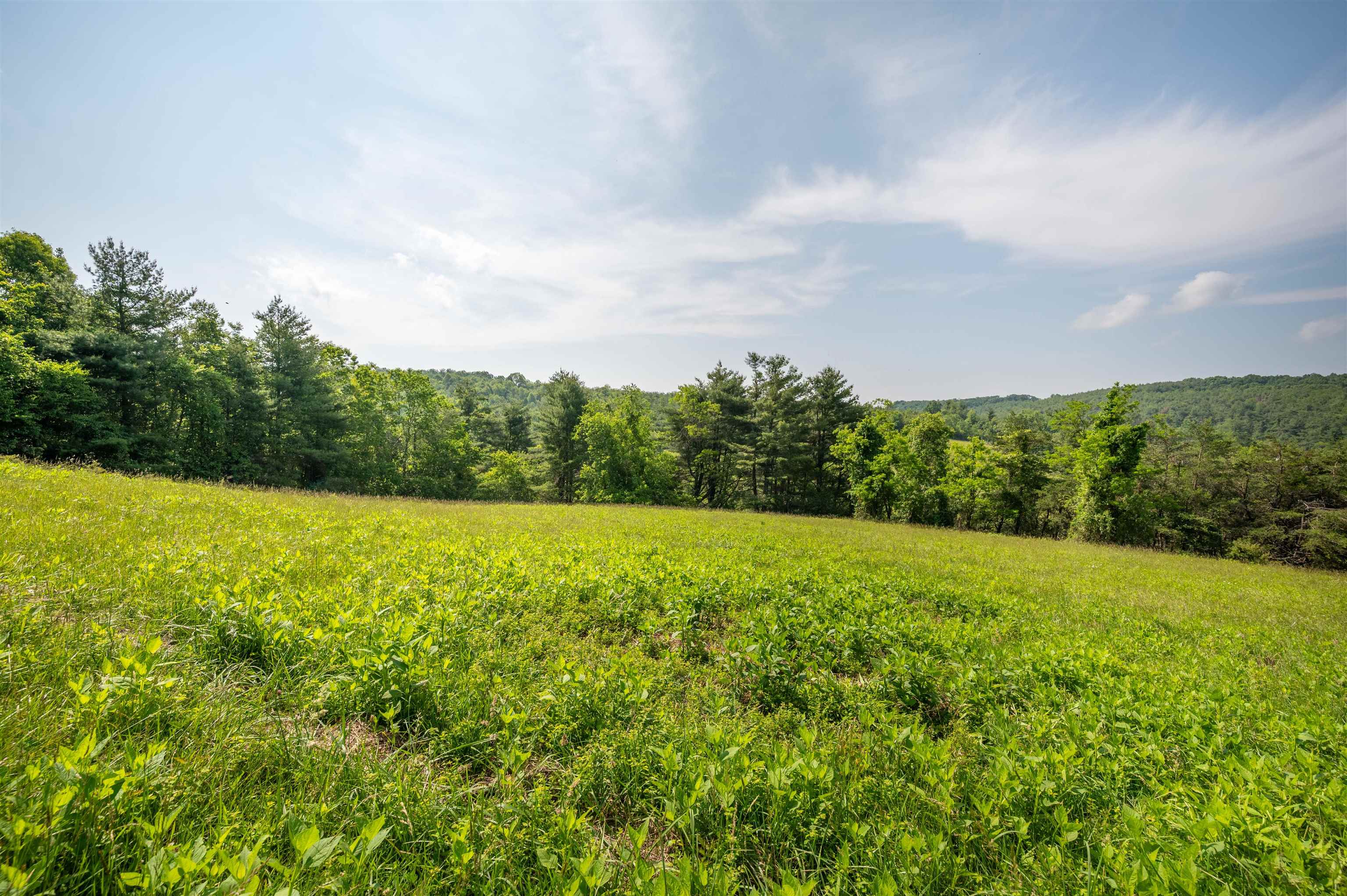 1073 Timberline Road SE Copper Hill VA 24079