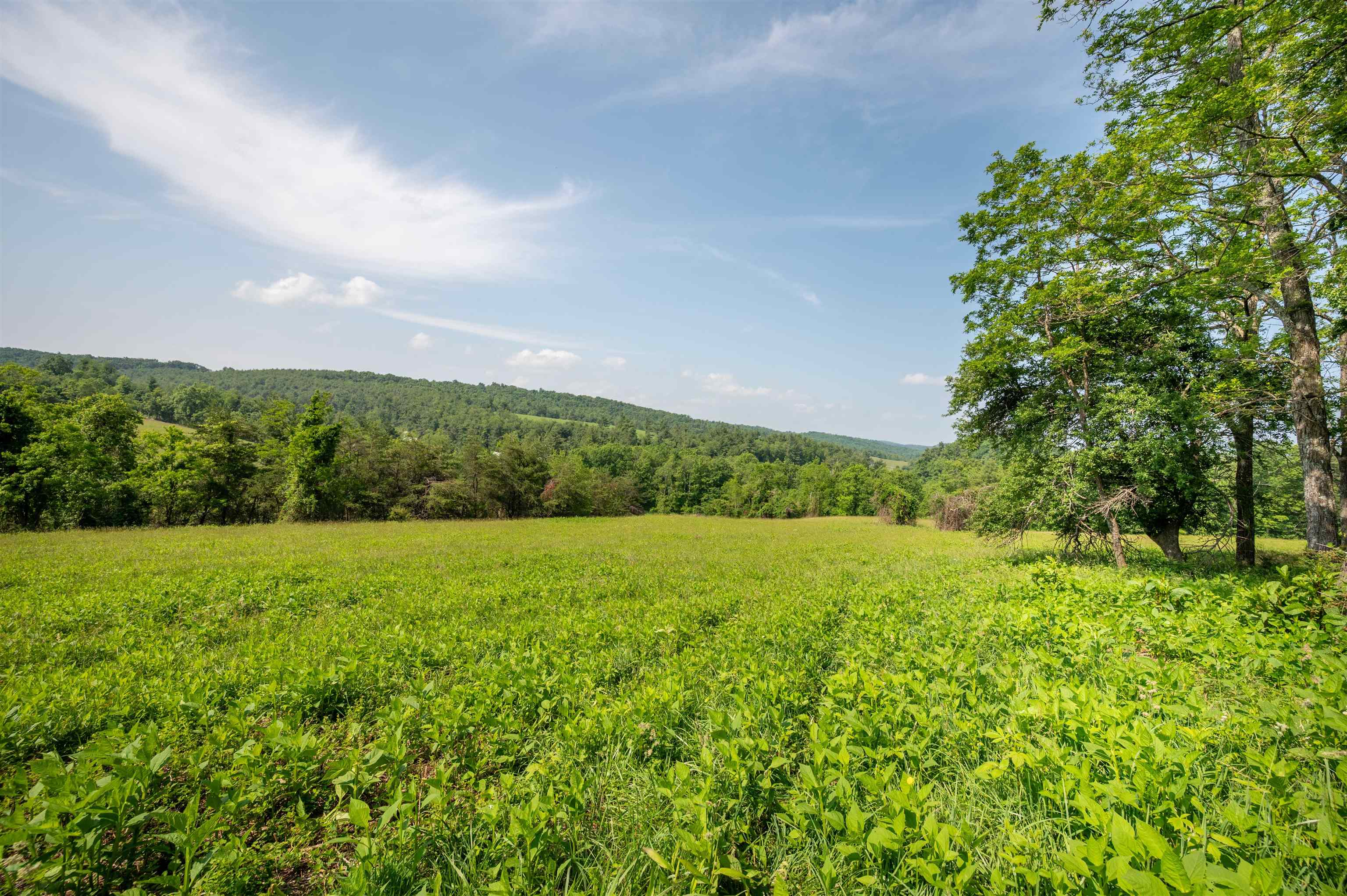 1073 Timberline Road SE Copper Hill VA 24079