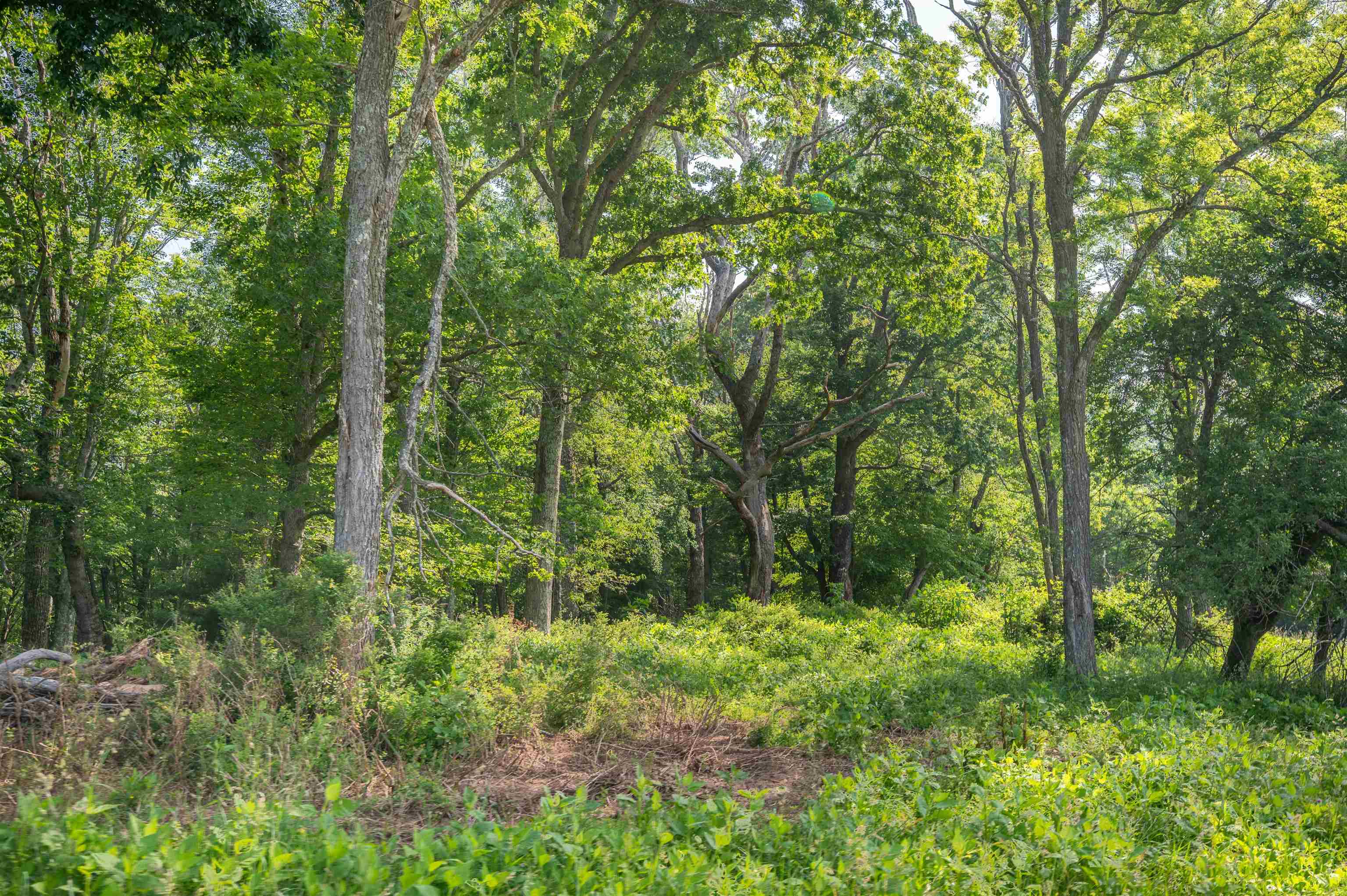 1073 Timberline Road SE Copper Hill VA 24079