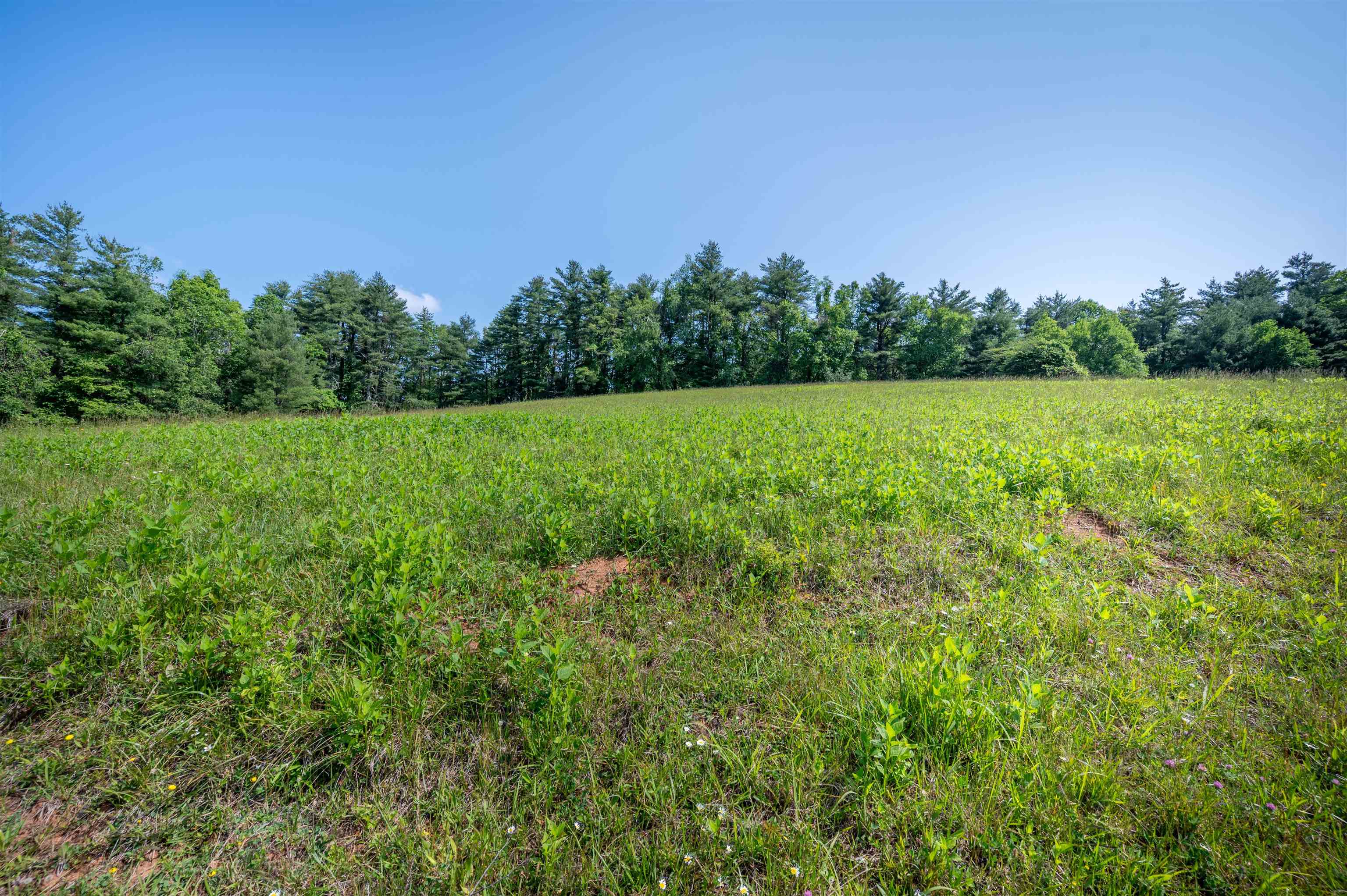 1073 Timberline Road SE Copper Hill VA 24079