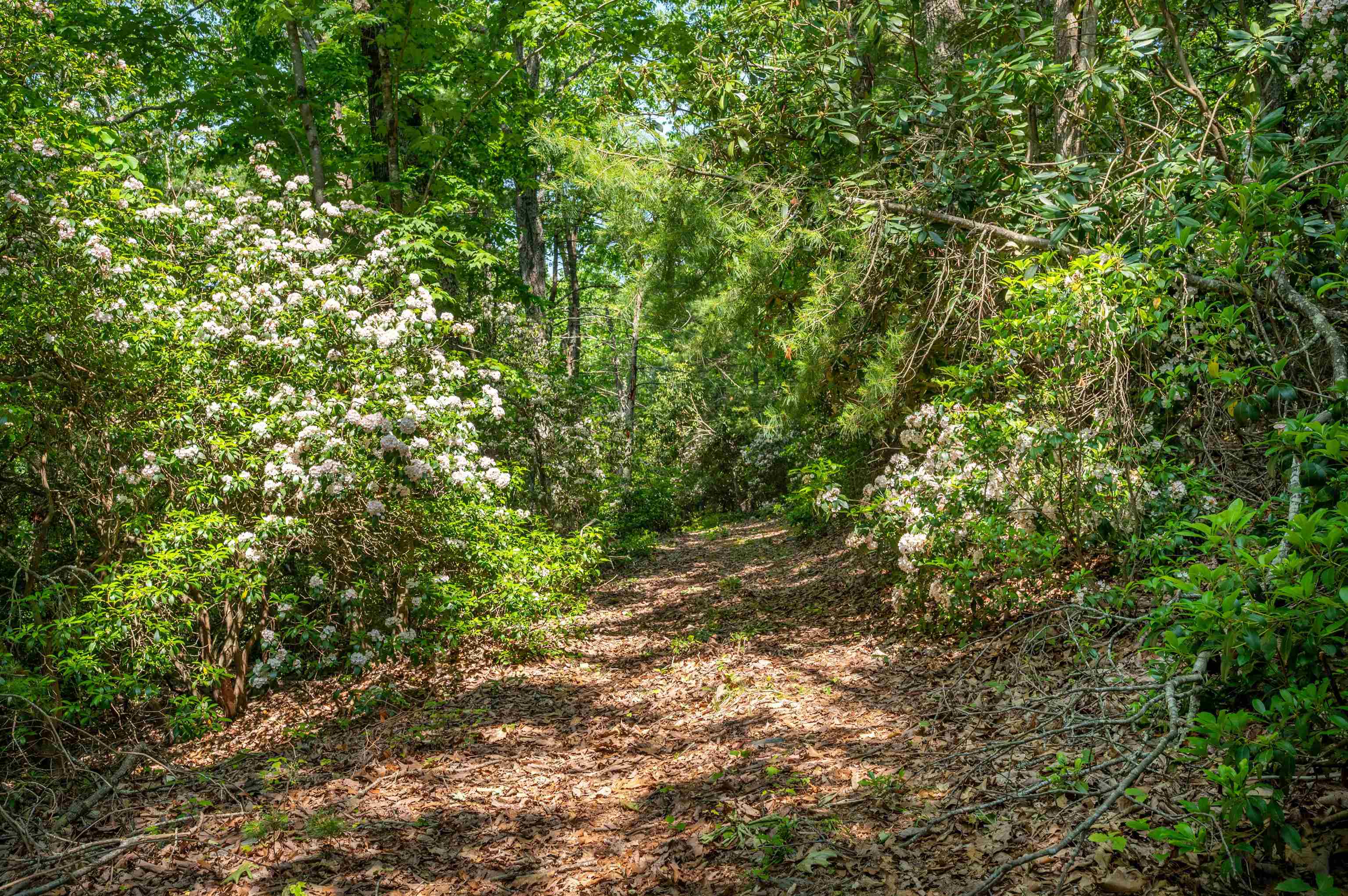 1073 Timberline Road SE Copper Hill VA 24079