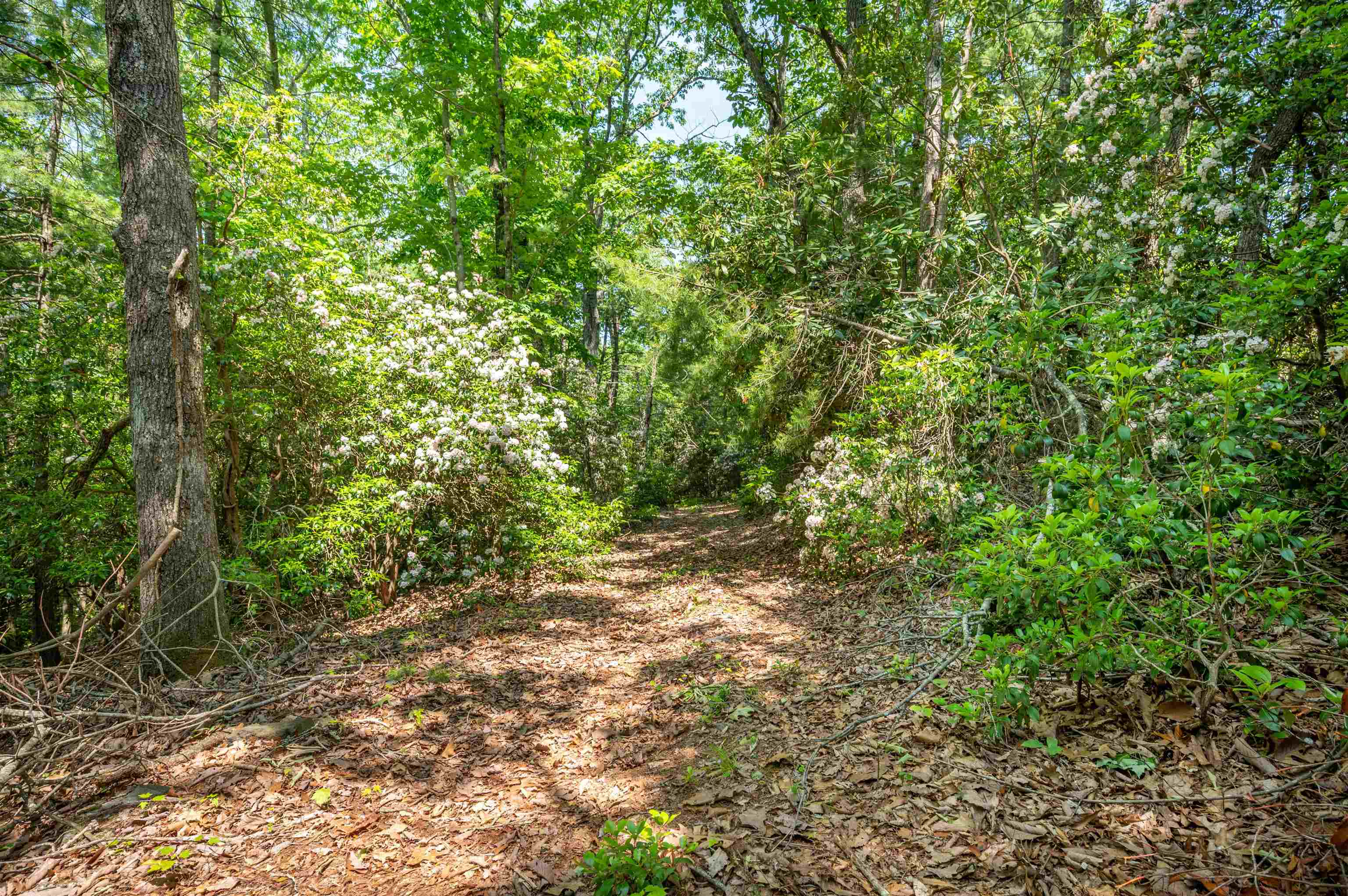 1073 Timberline Road SE Copper Hill VA 24079