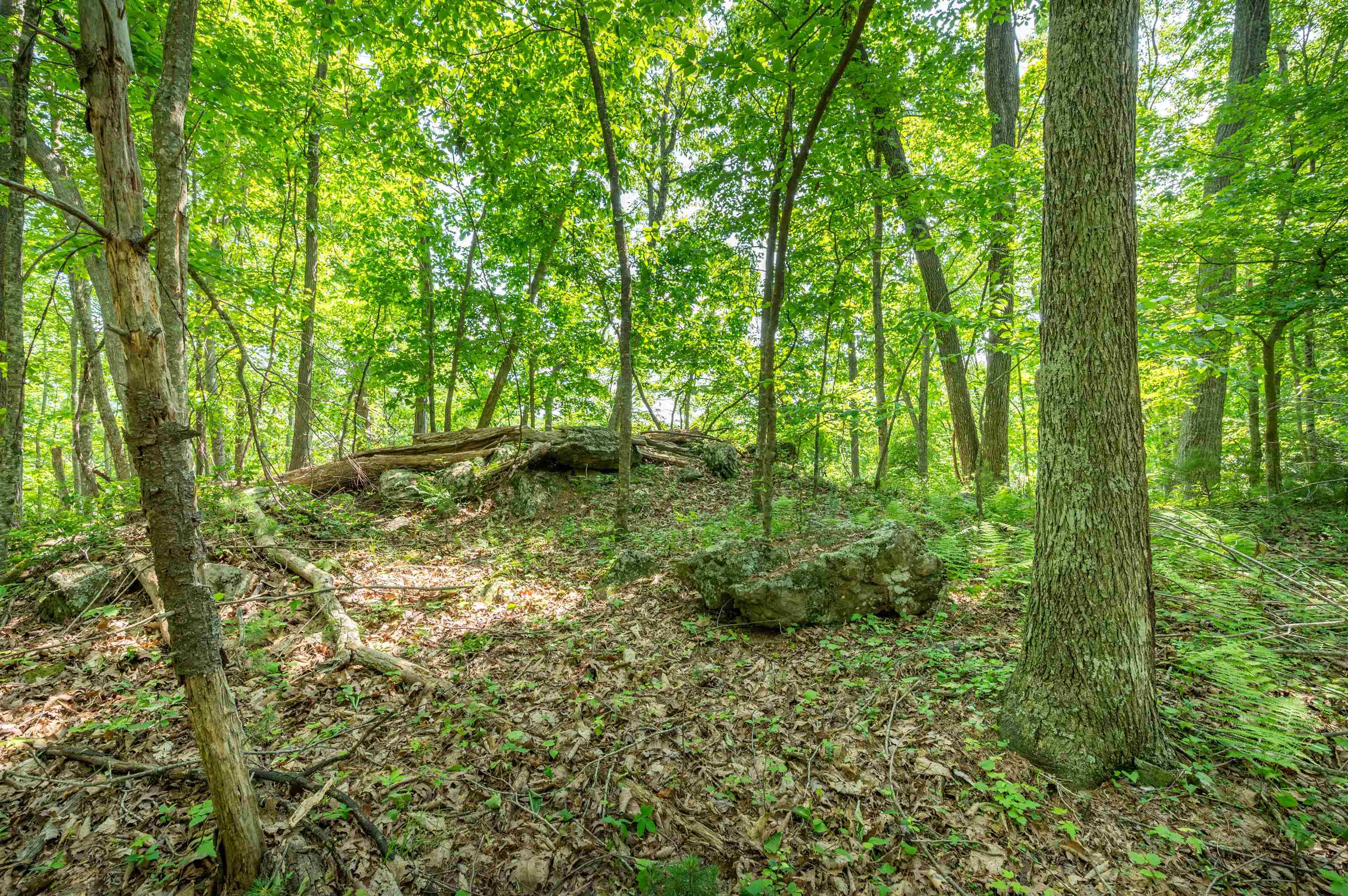 1073 Timberline Road SE Copper Hill VA 24079