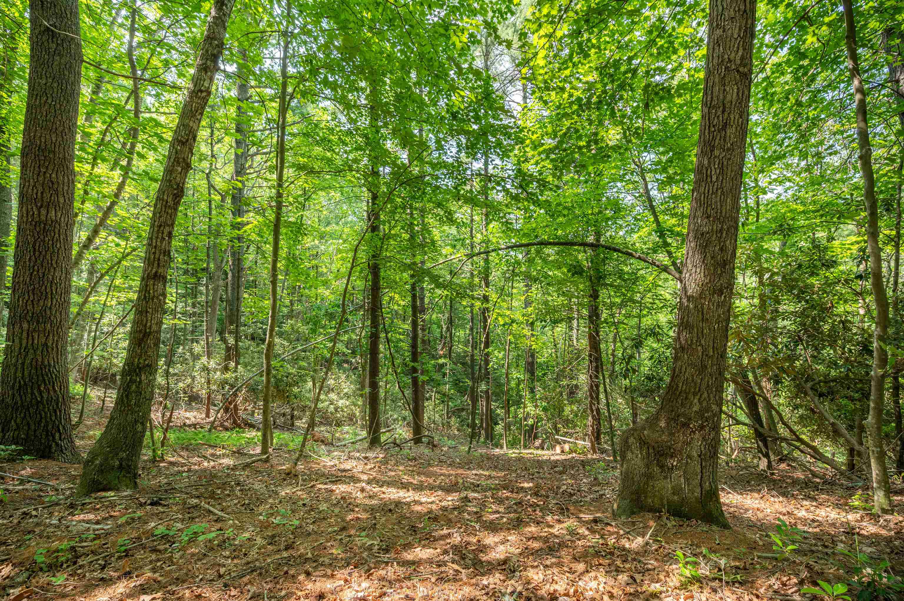 1073 Timberline Road SE Copper Hill VA 24079