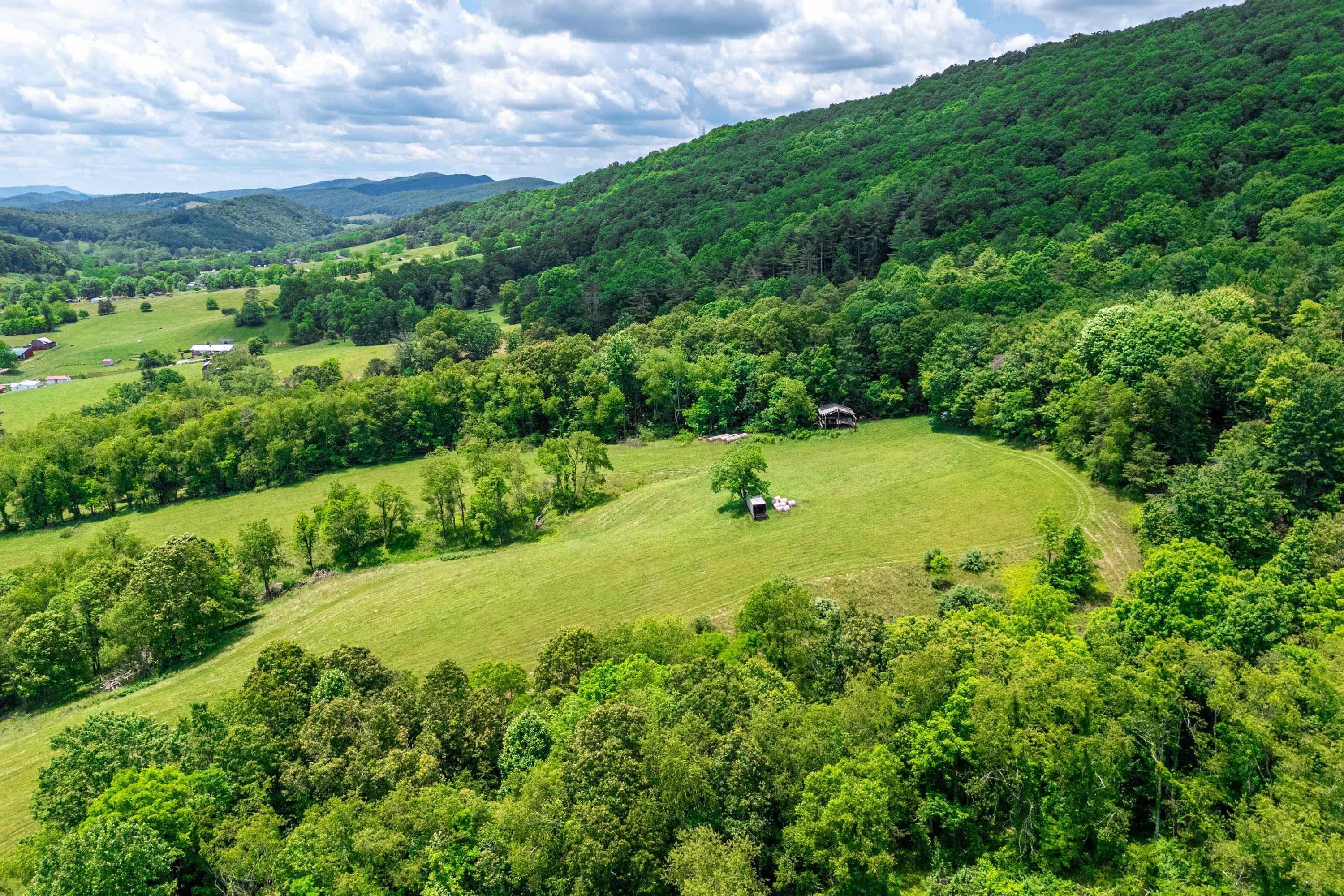 10653 E Blue Grass Trail Bland VA 24315