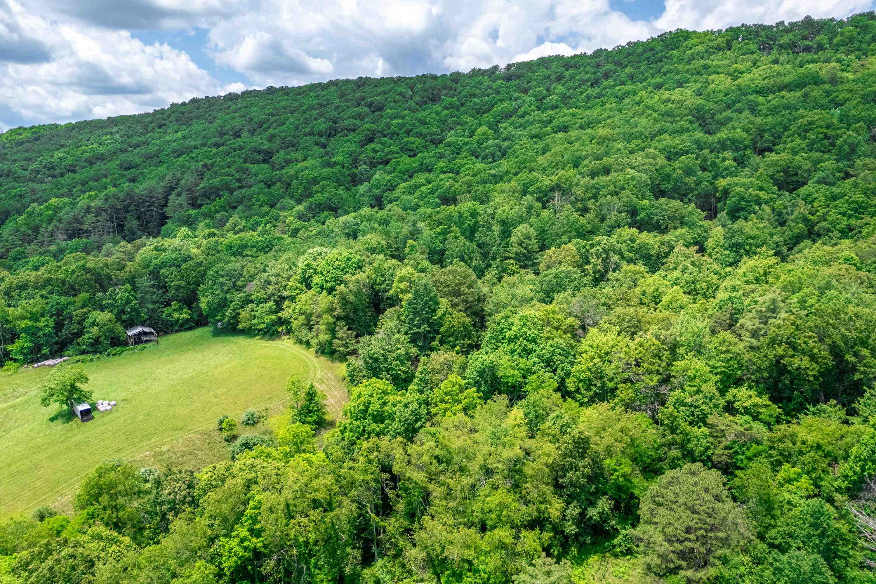10653 E Blue Grass Trail Bland VA 24315
