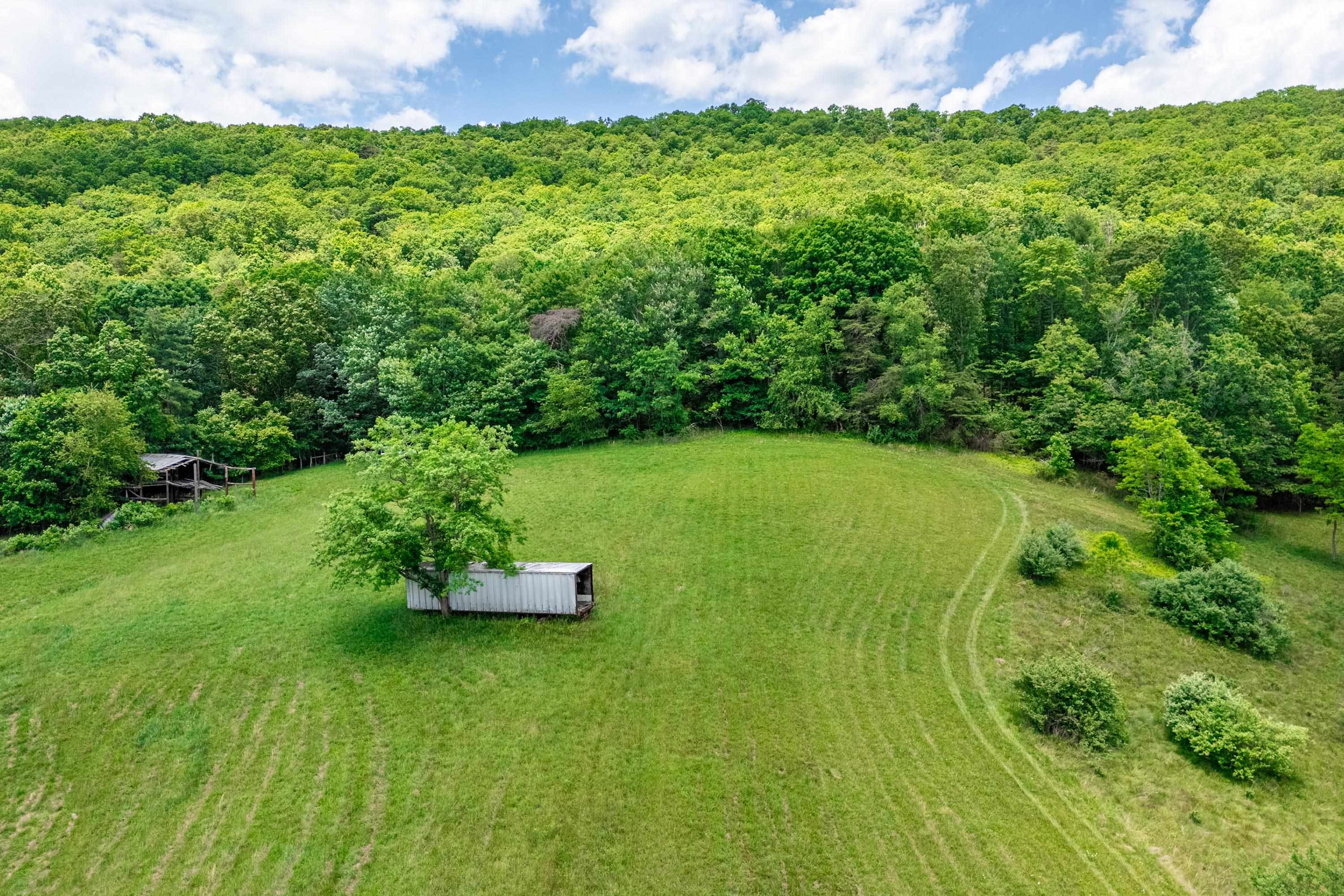 10653 E Blue Grass Trail Bland VA 24315