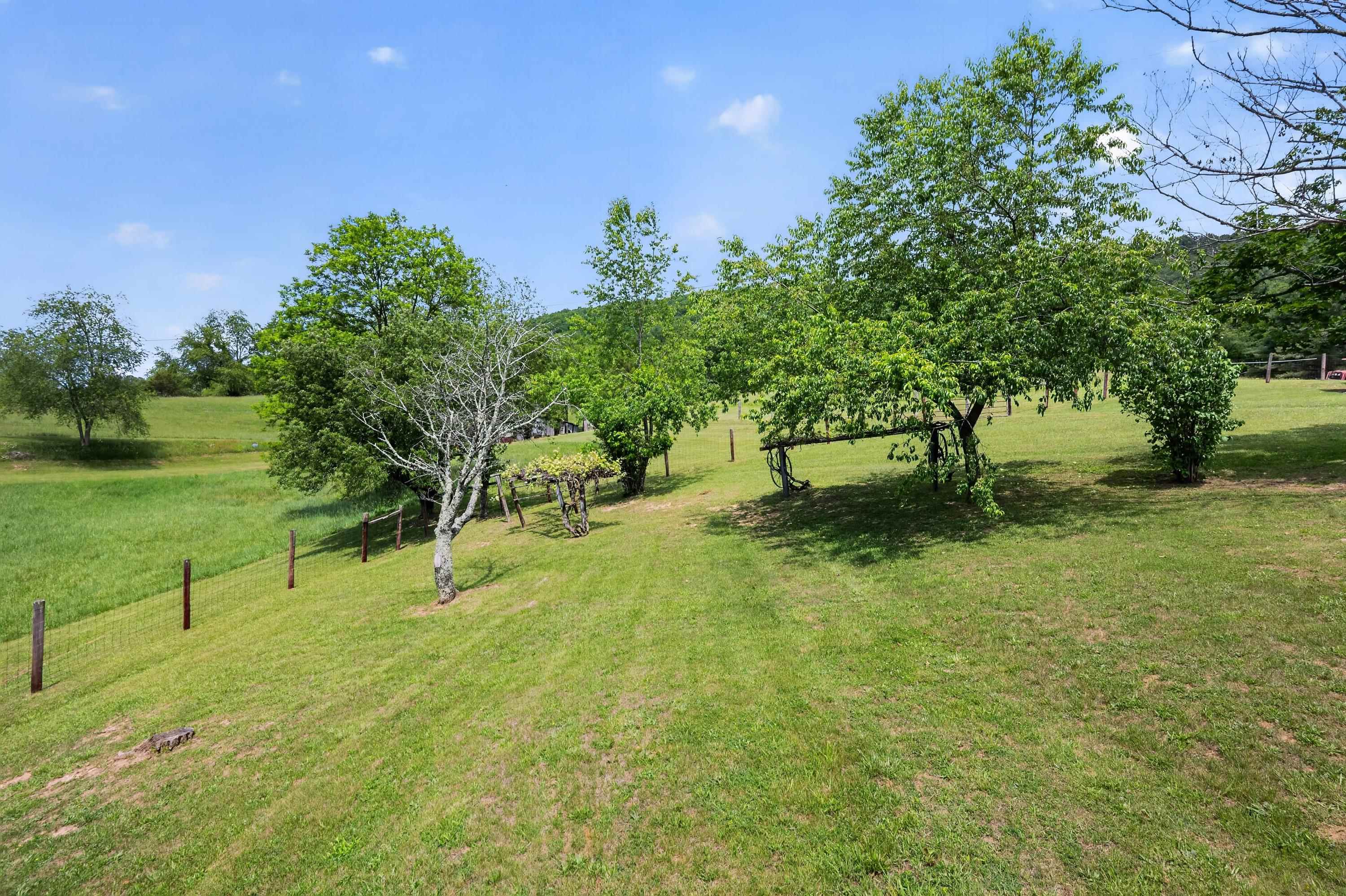 10653 E Blue Grass Trail Bland VA 24315