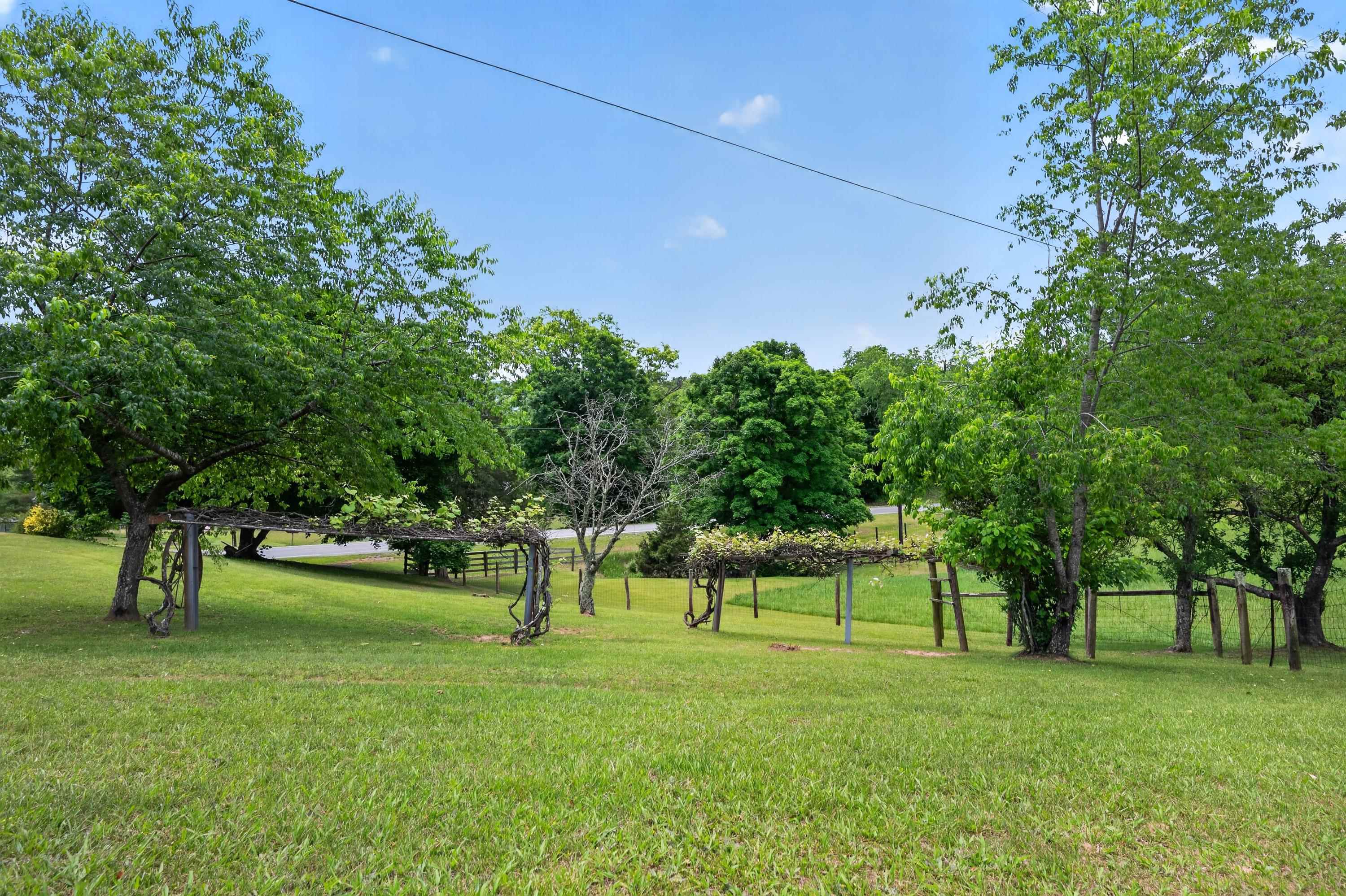 10653 E Blue Grass Trail Bland VA 24315