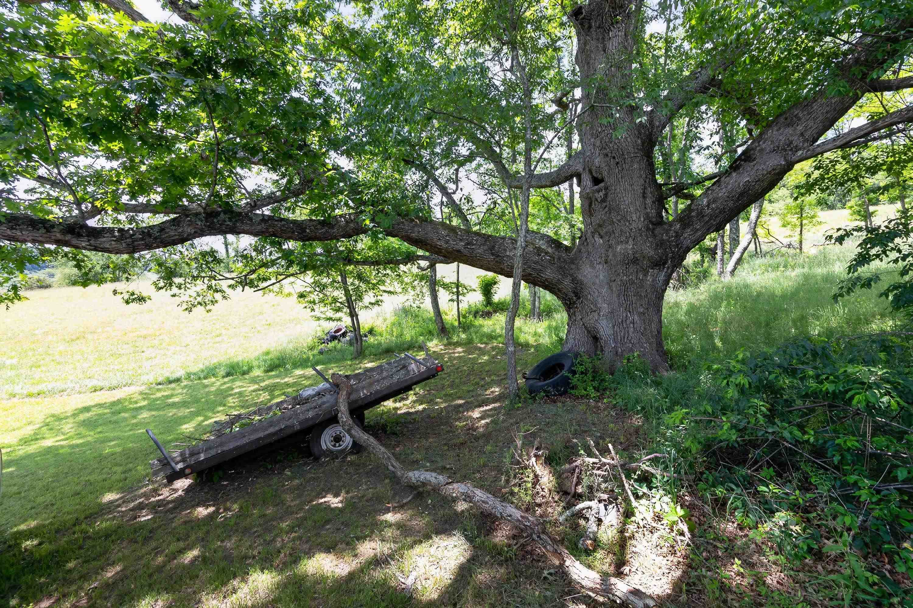 10653 E Blue Grass Trail Bland VA 24315
