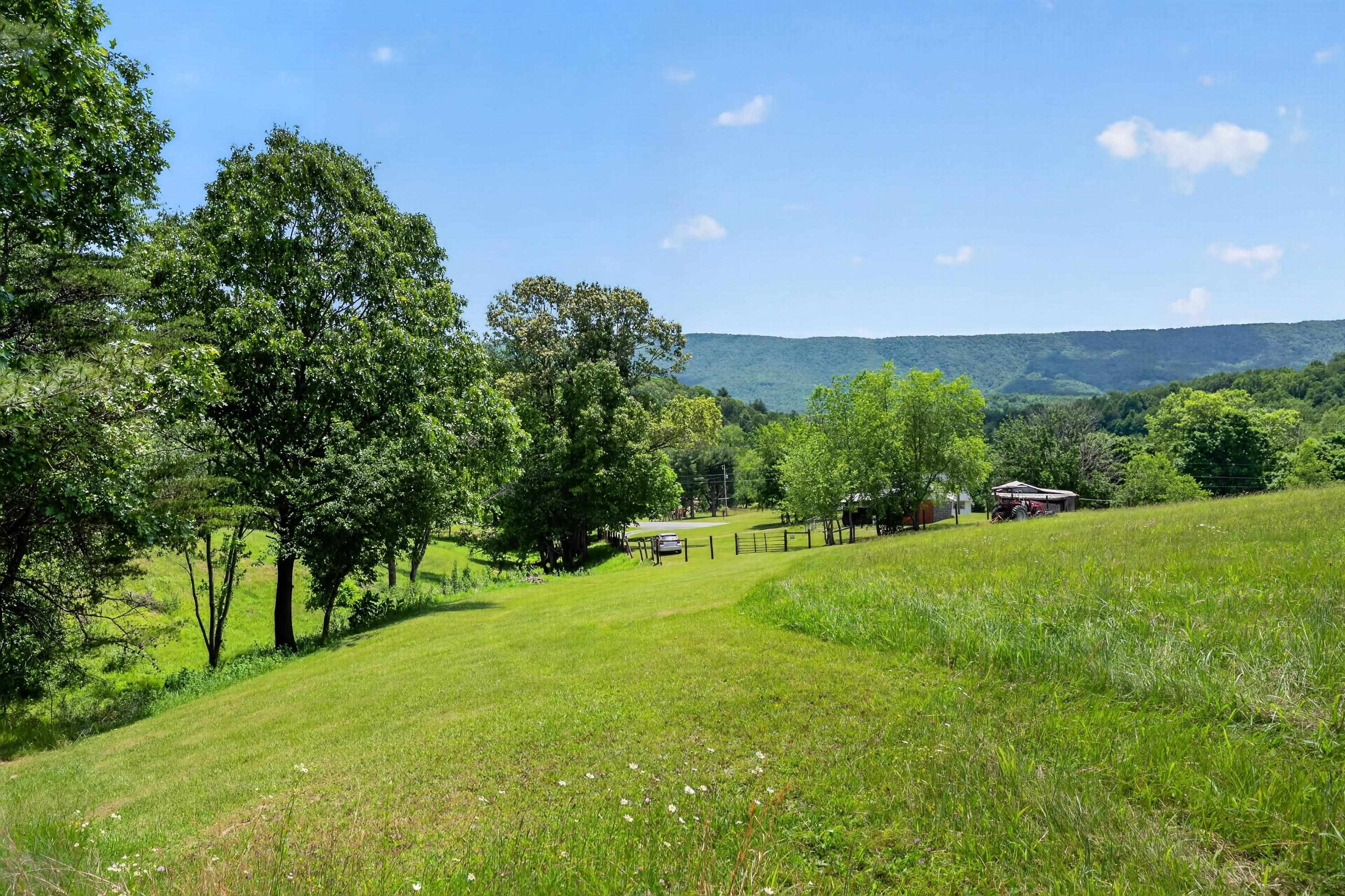 10653 E Blue Grass Trail Bland VA 24315