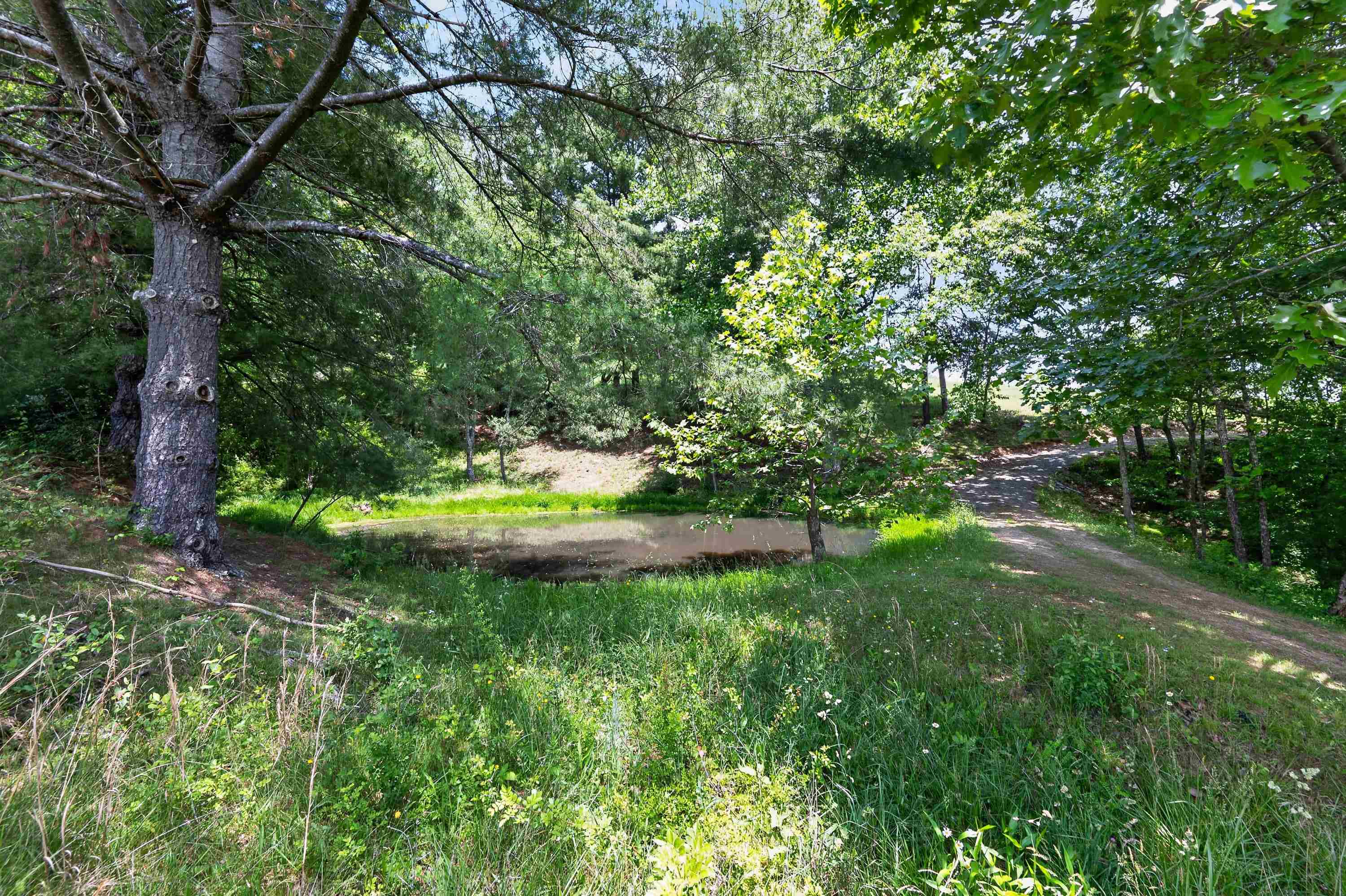 10653 E Blue Grass Trail Bland VA 24315