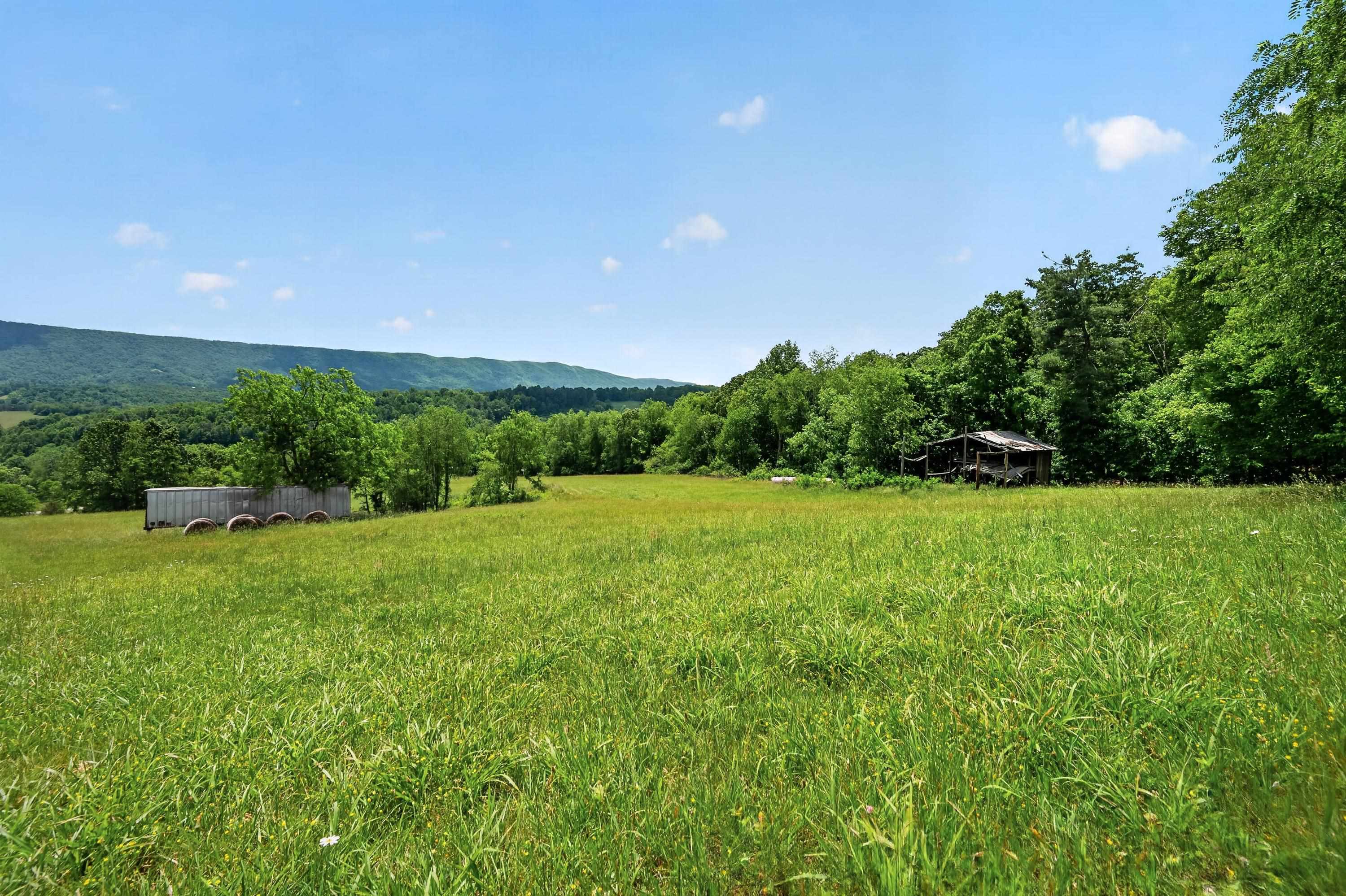 10653 E Blue Grass Trail Bland VA 24315