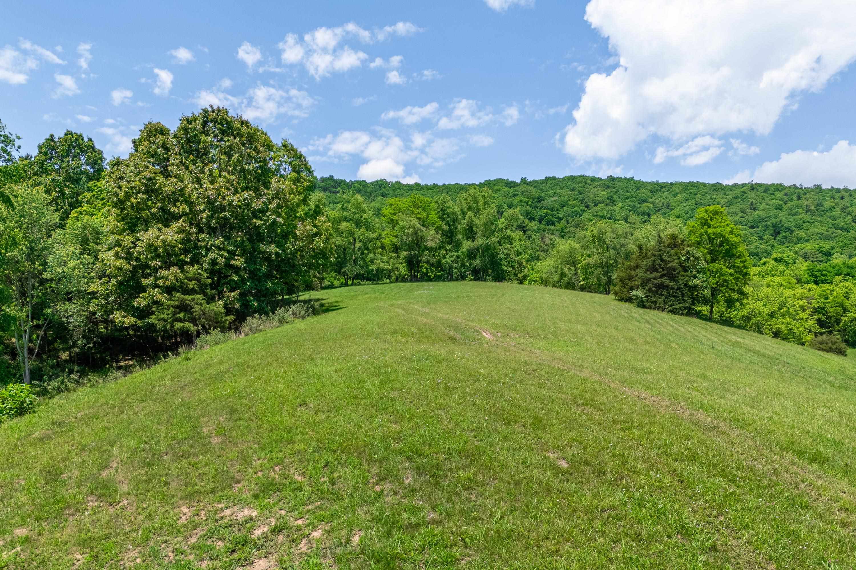 10653 E Blue Grass Trail Bland VA 24315
