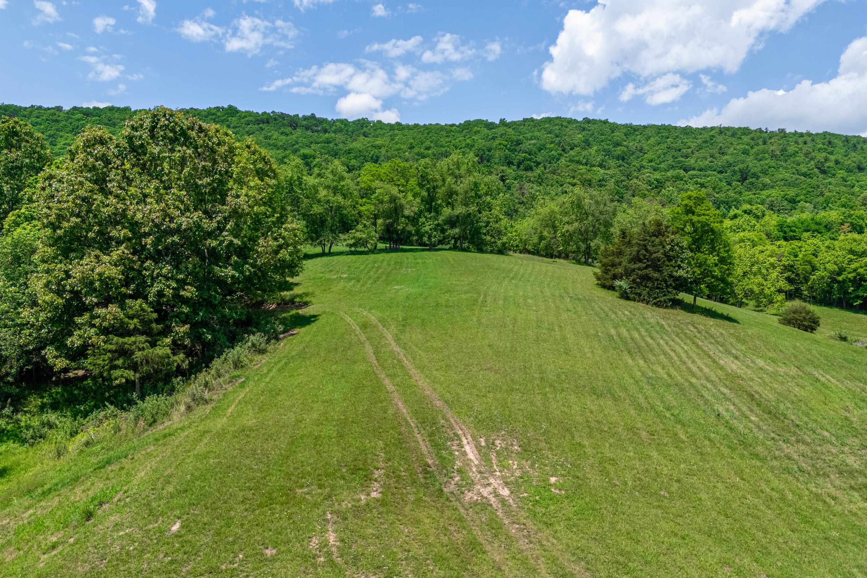 10653 E Blue Grass Trail Bland VA 24315