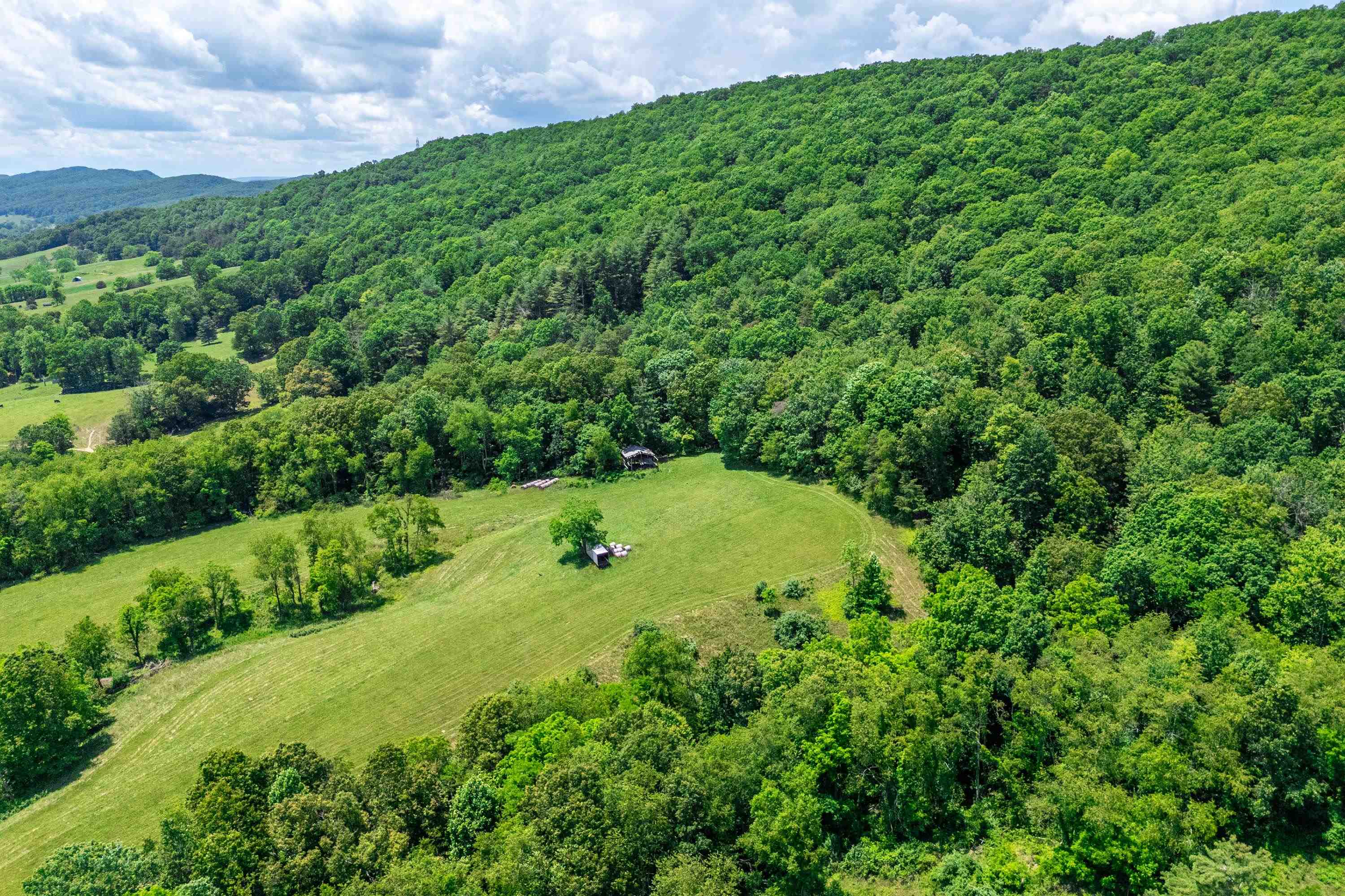 10653 E Blue Grass Trail Bland VA 24315