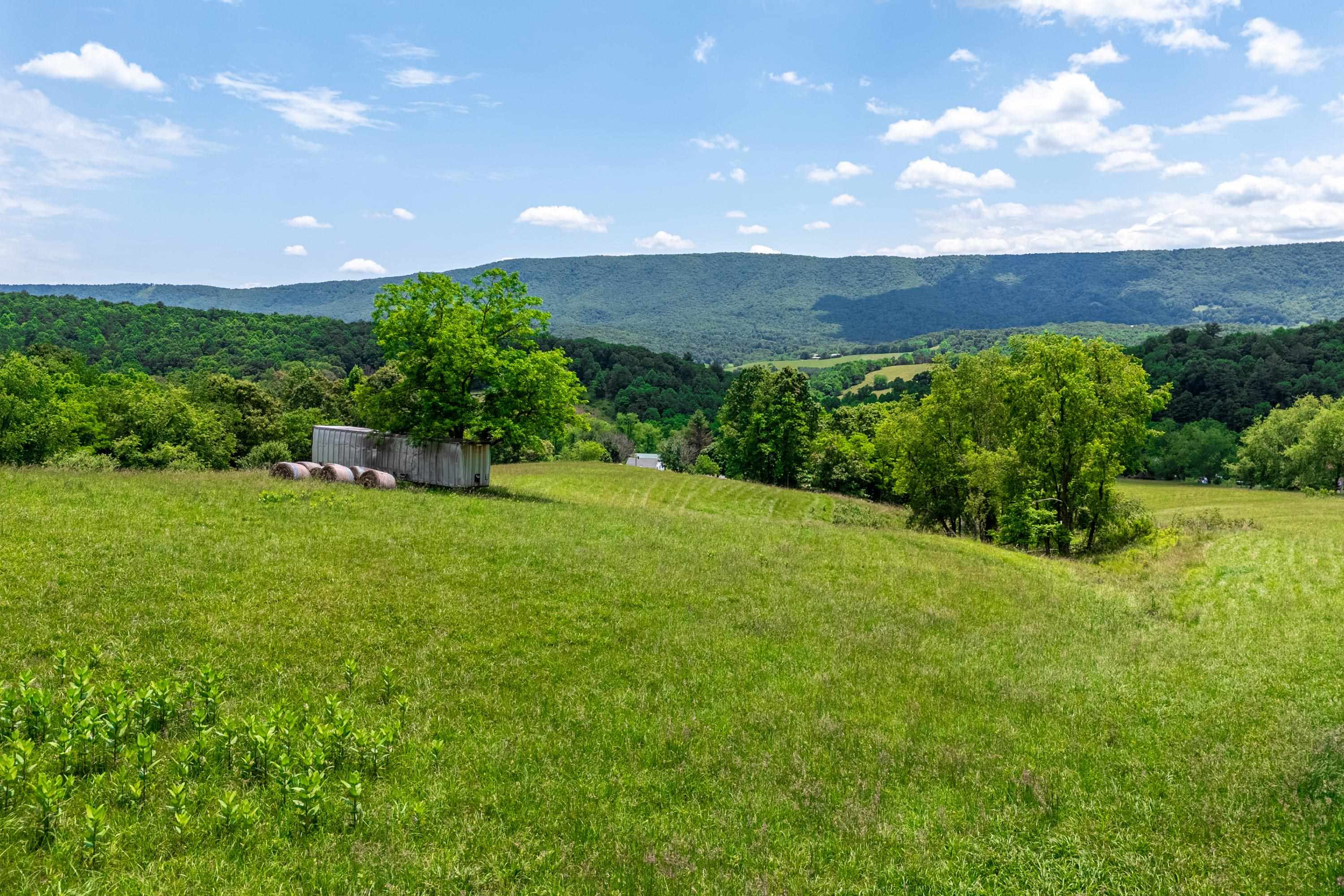 10653 E Blue Grass Trail Bland VA 24315