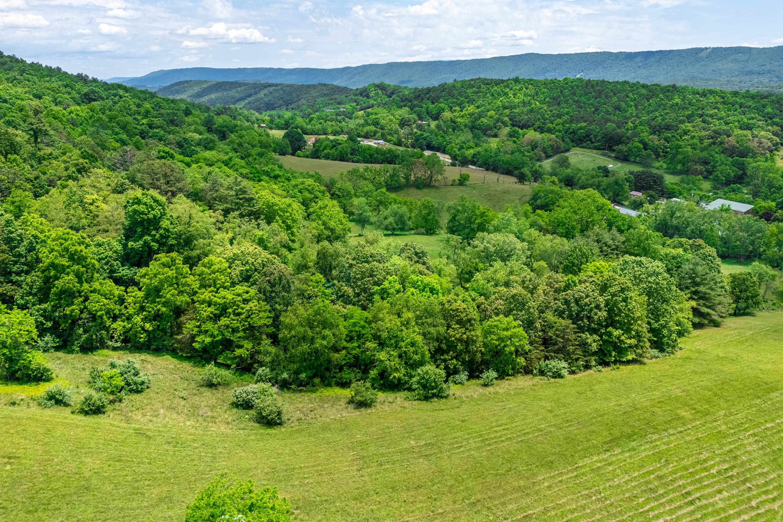 10653 E Blue Grass Trail Bland VA 24315