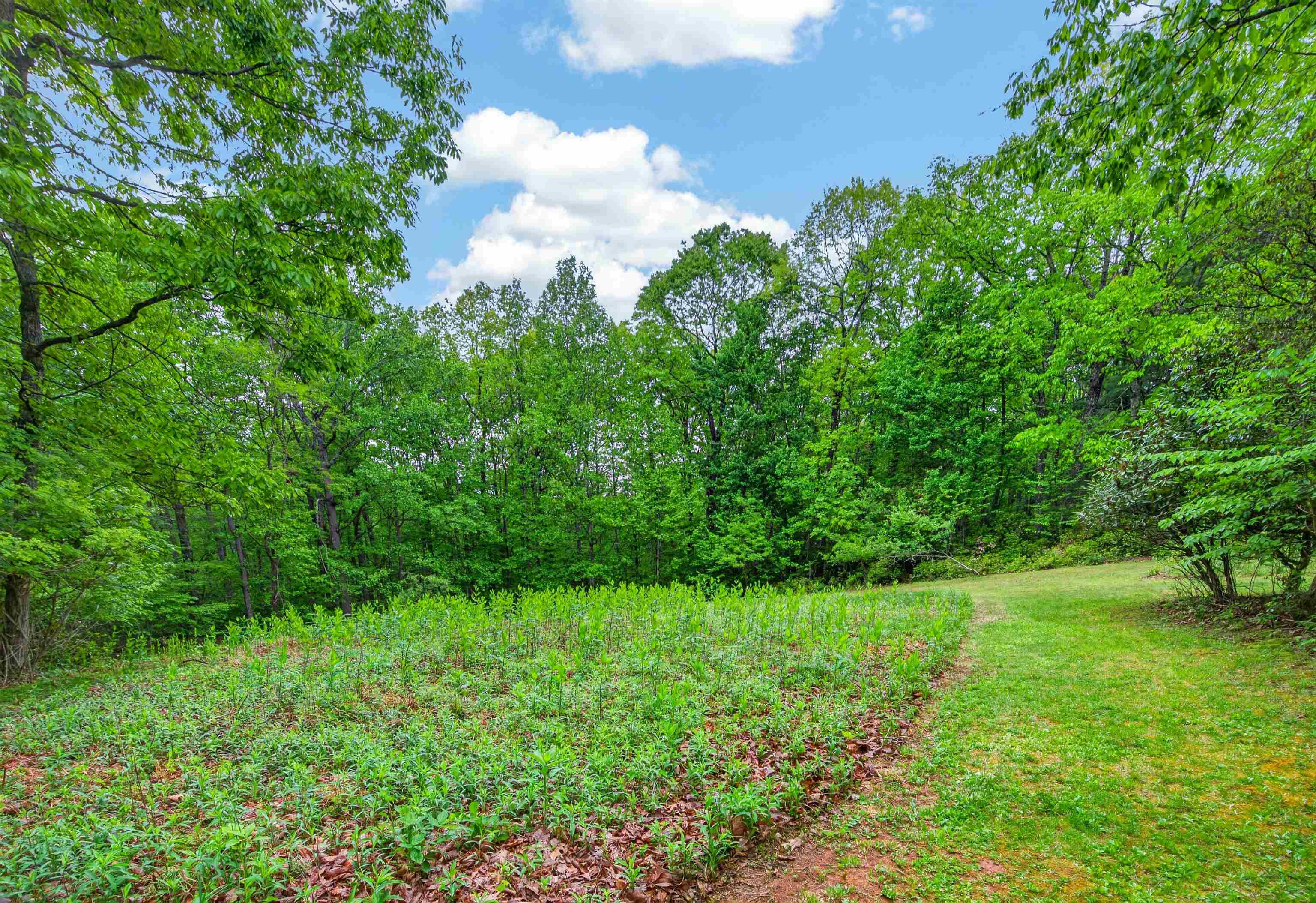 899 Fairview Church Road SW Floyd VA 24091