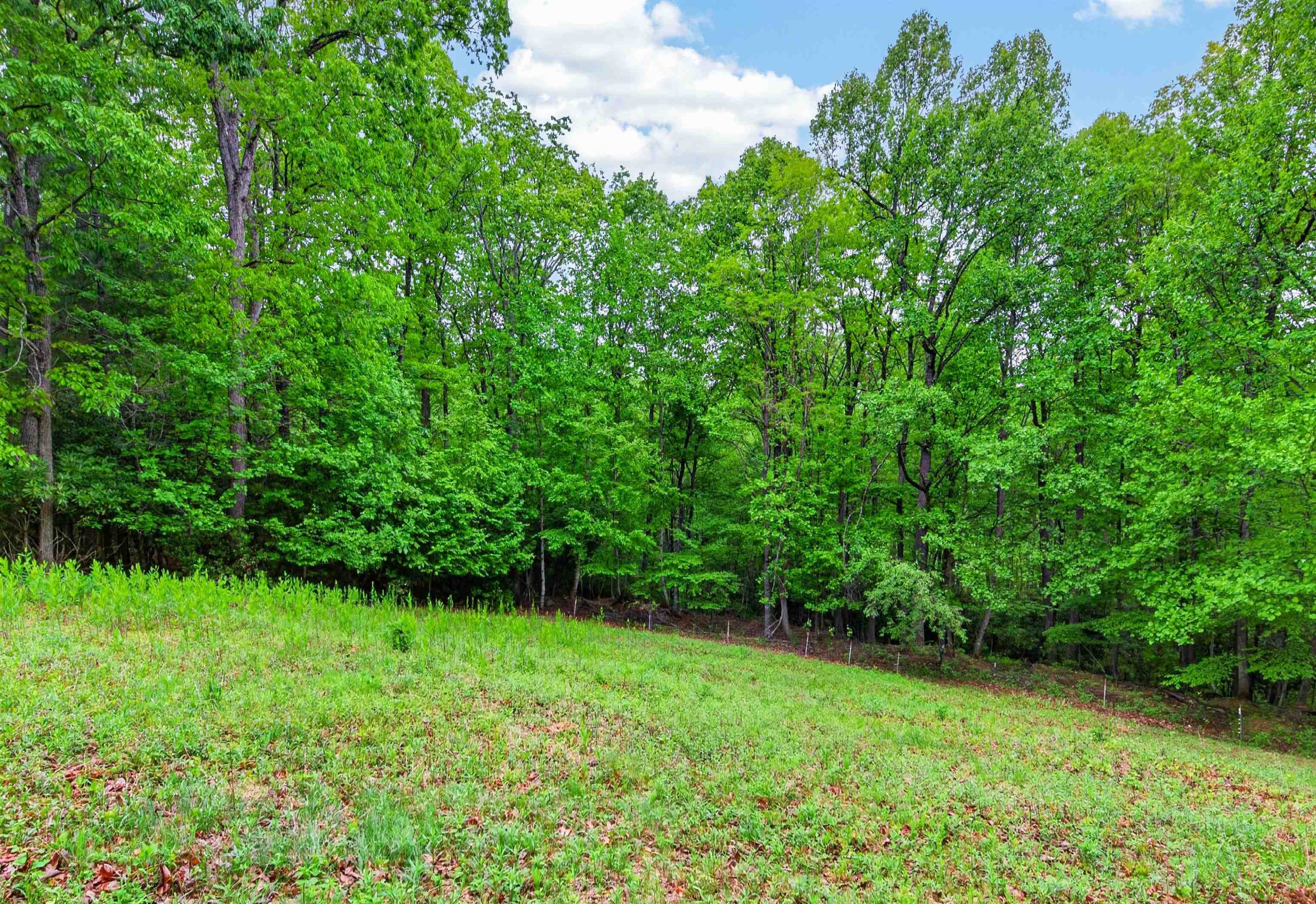 899 Fairview Church Road SW Floyd VA 24091