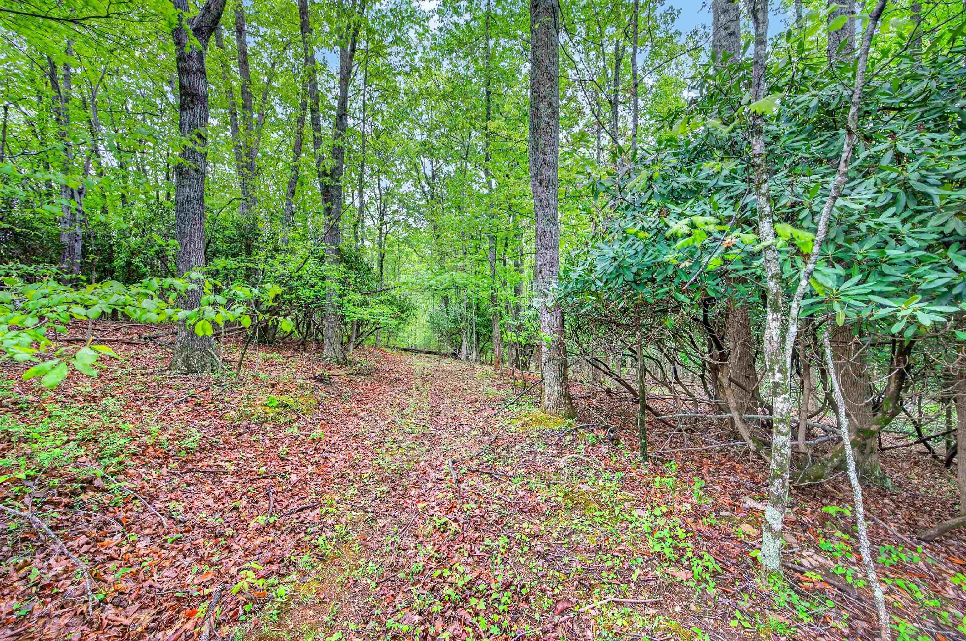 899 Fairview Church Road SW Floyd VA 24091
