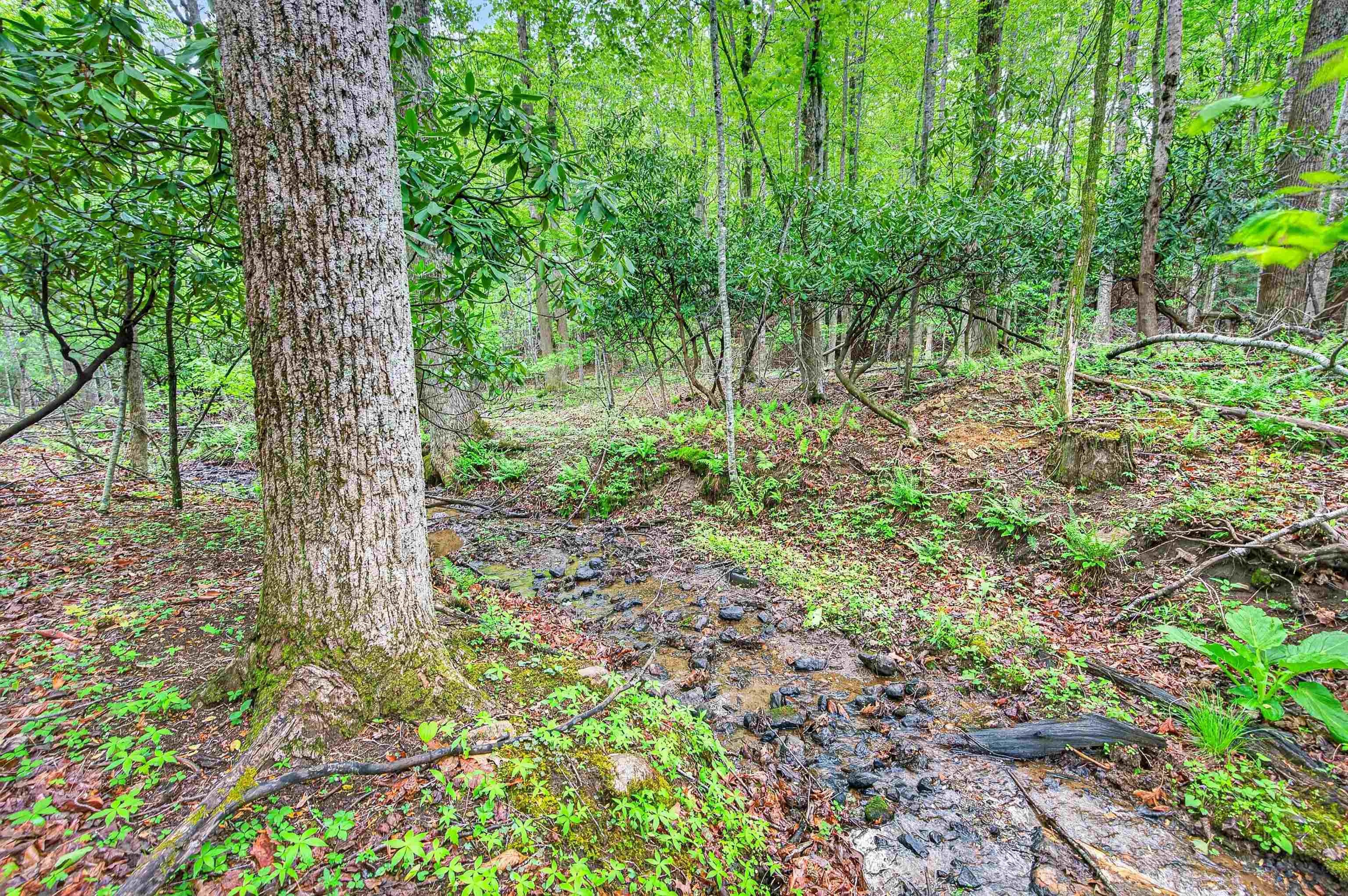 899 Fairview Church Road SW Floyd VA 24091