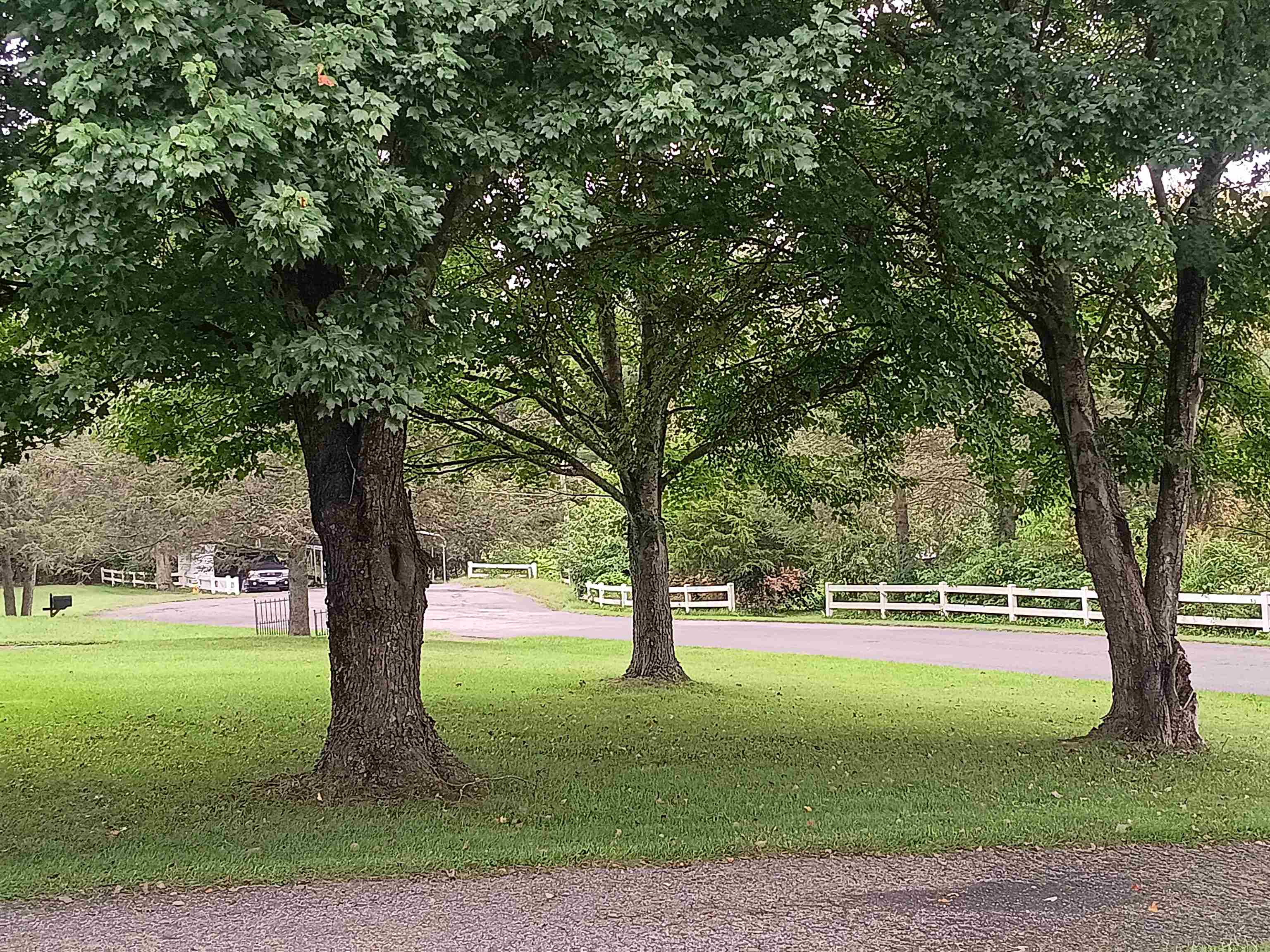 127 Greenview Ln Lane Hillsville VA 24343