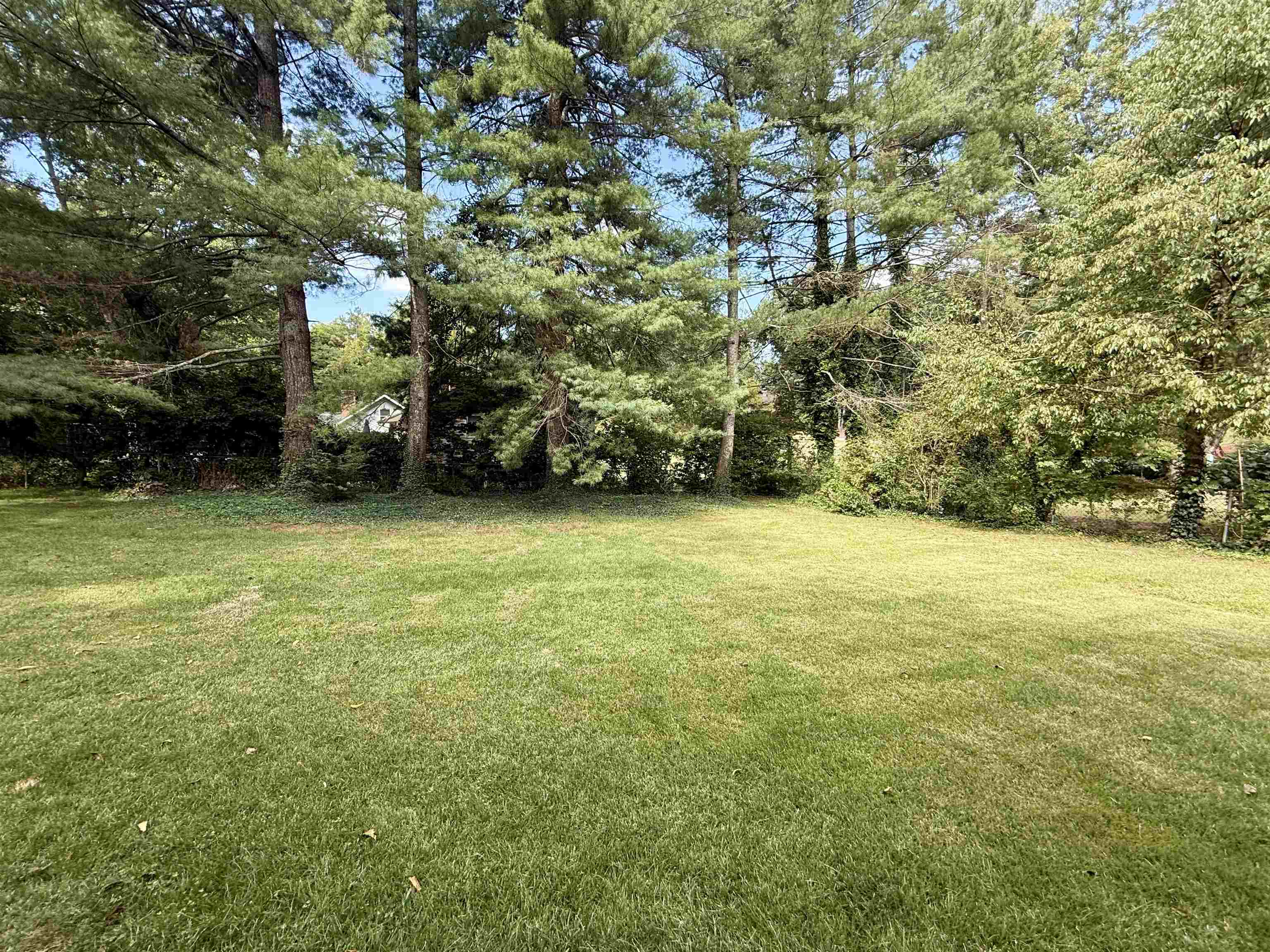 305 Cork Drive Blacksburg VA 24060