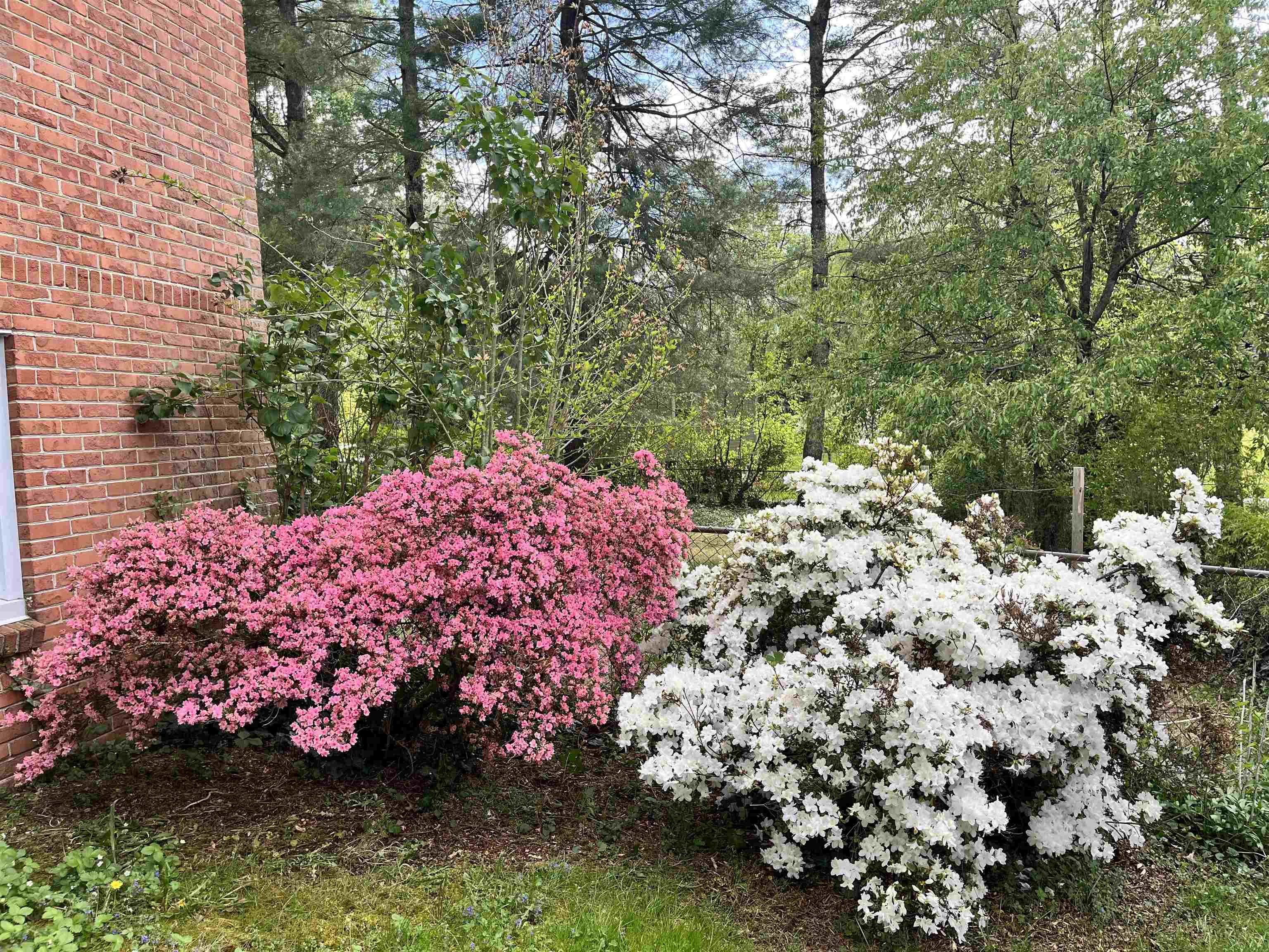 305 Cork Drive Blacksburg VA 24060