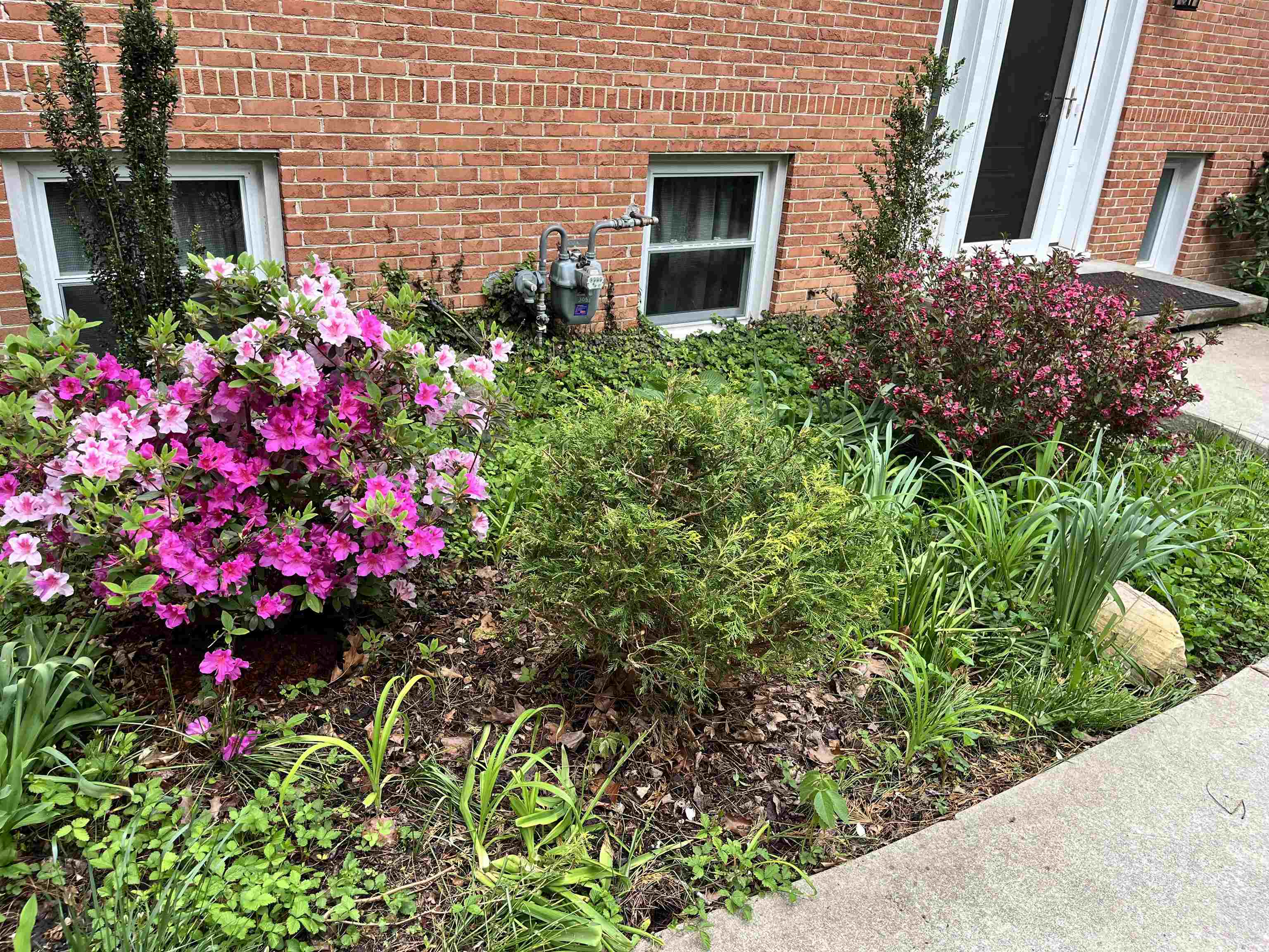 305 Cork Drive Blacksburg VA 24060