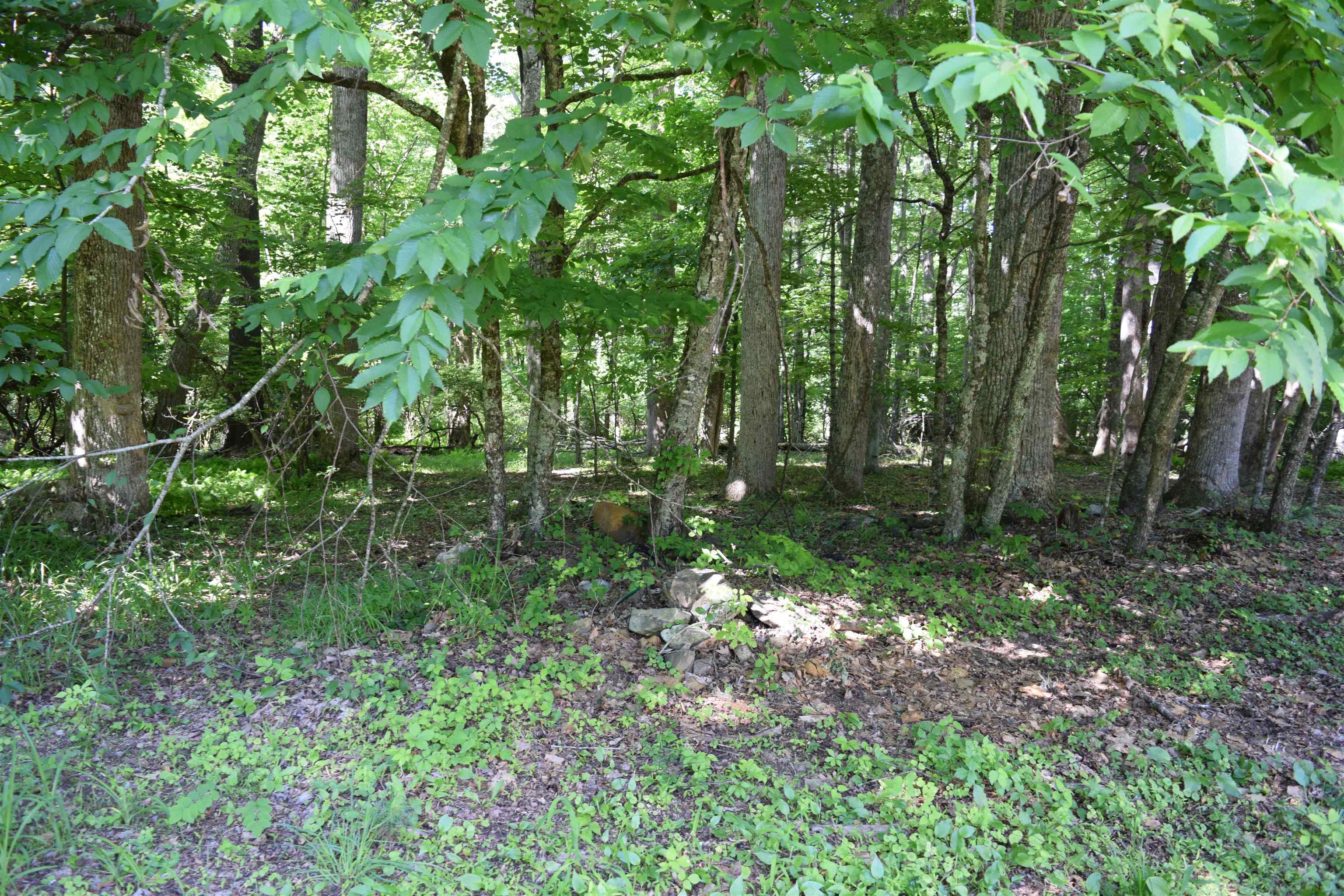 812 Conner Grove Road Willis VA 24380