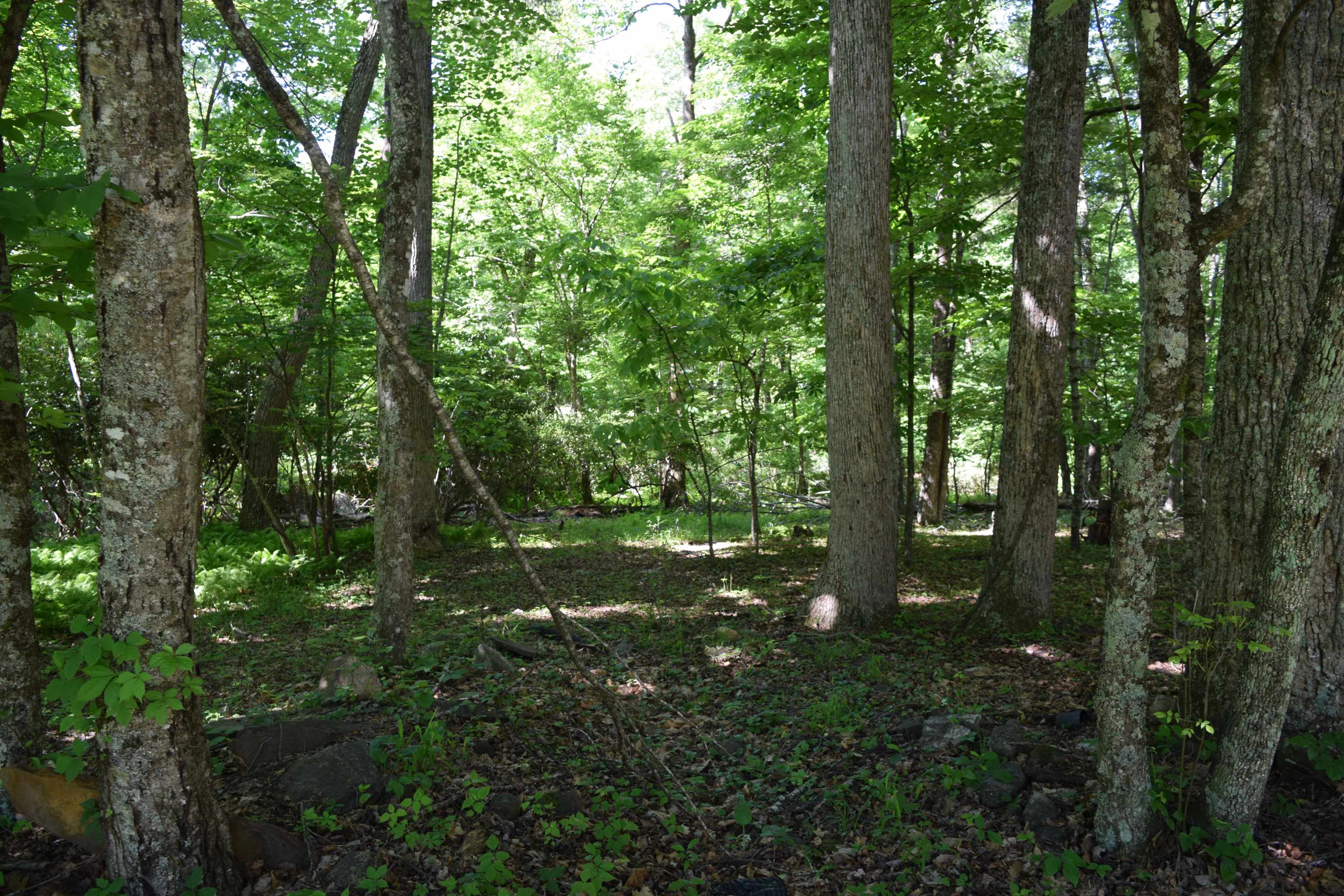 812 Conner Grove Road Willis VA 24380