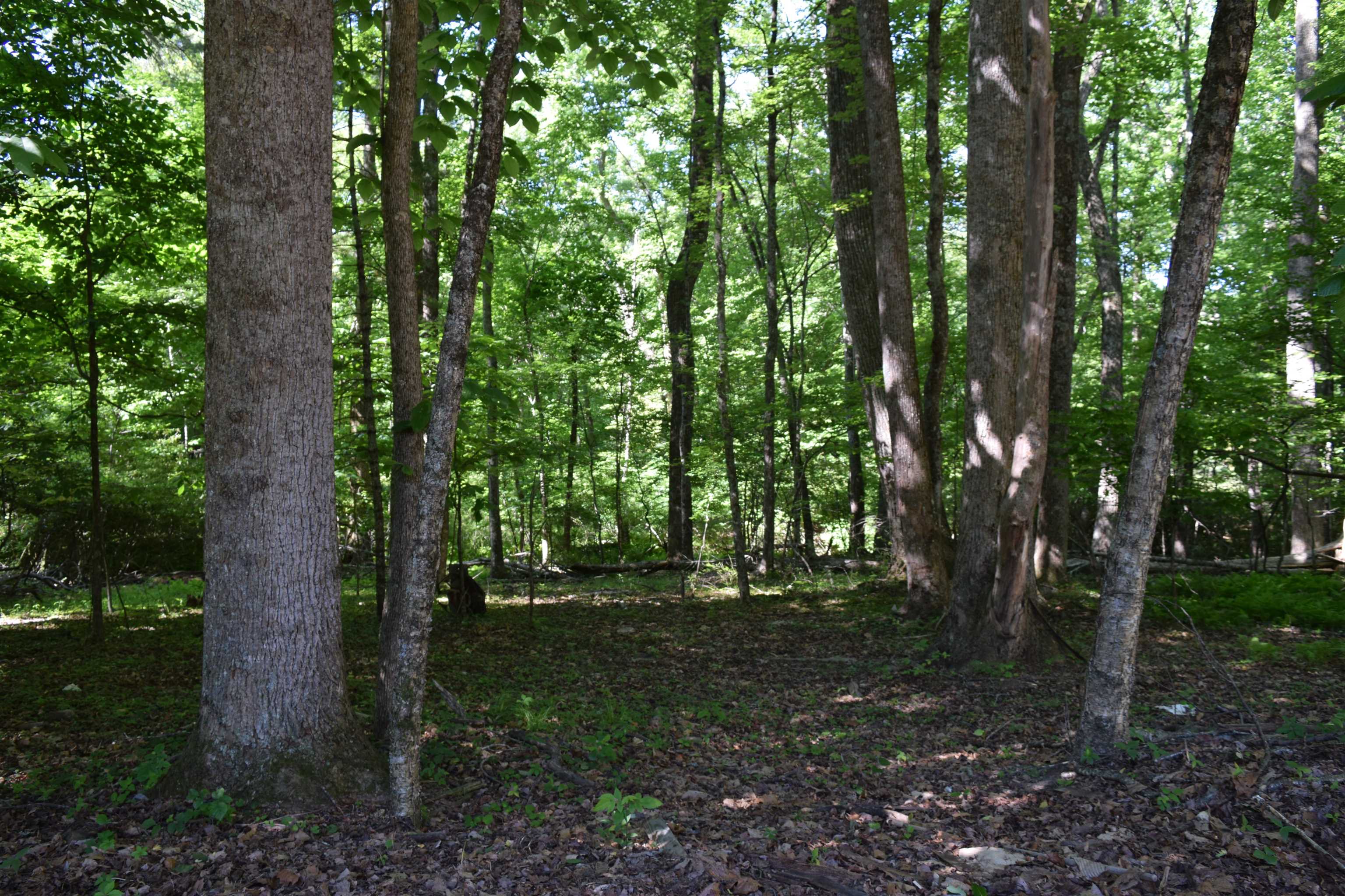 812 Conner Grove Road Willis VA 24380