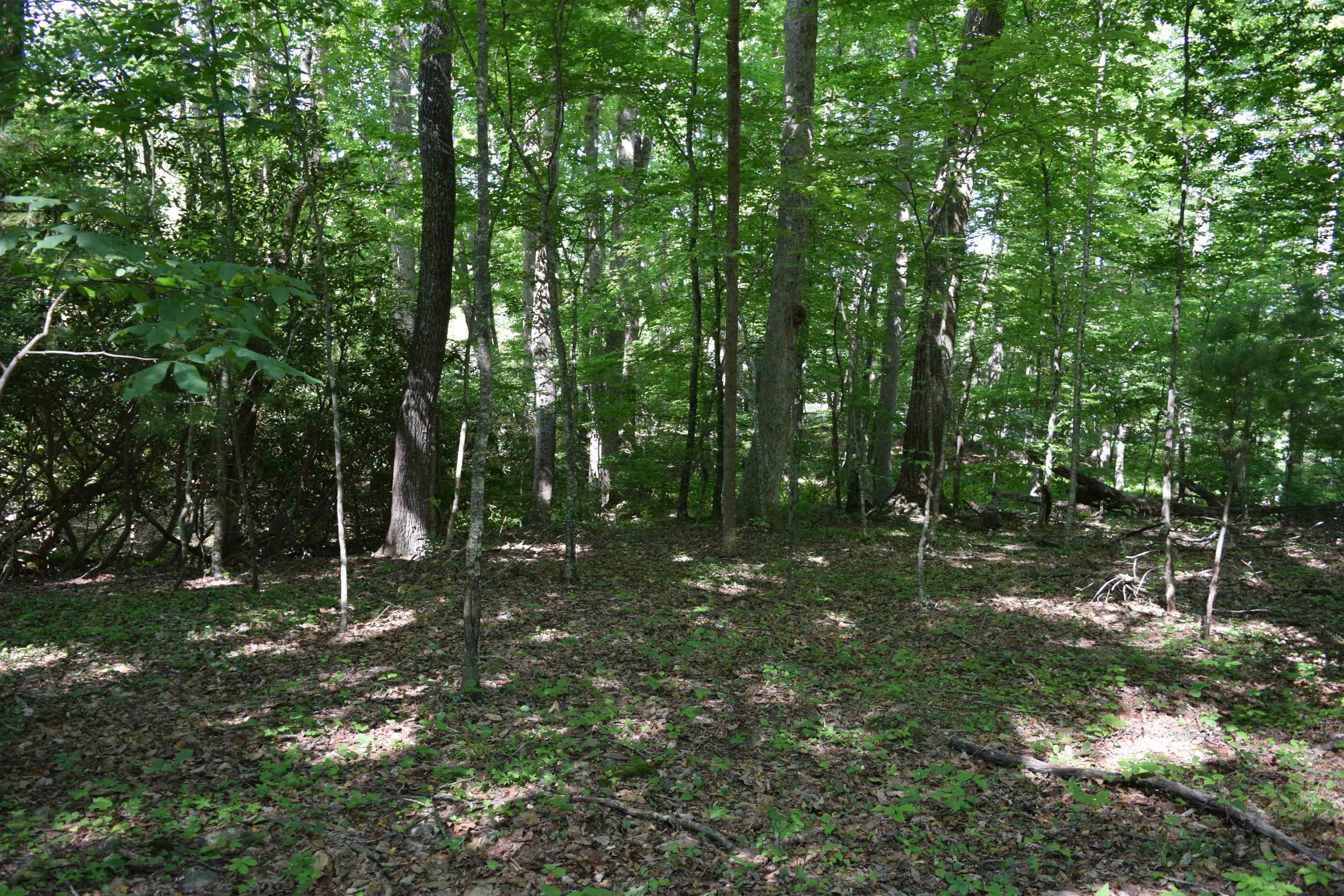 812 Conner Grove Road Willis VA 24380