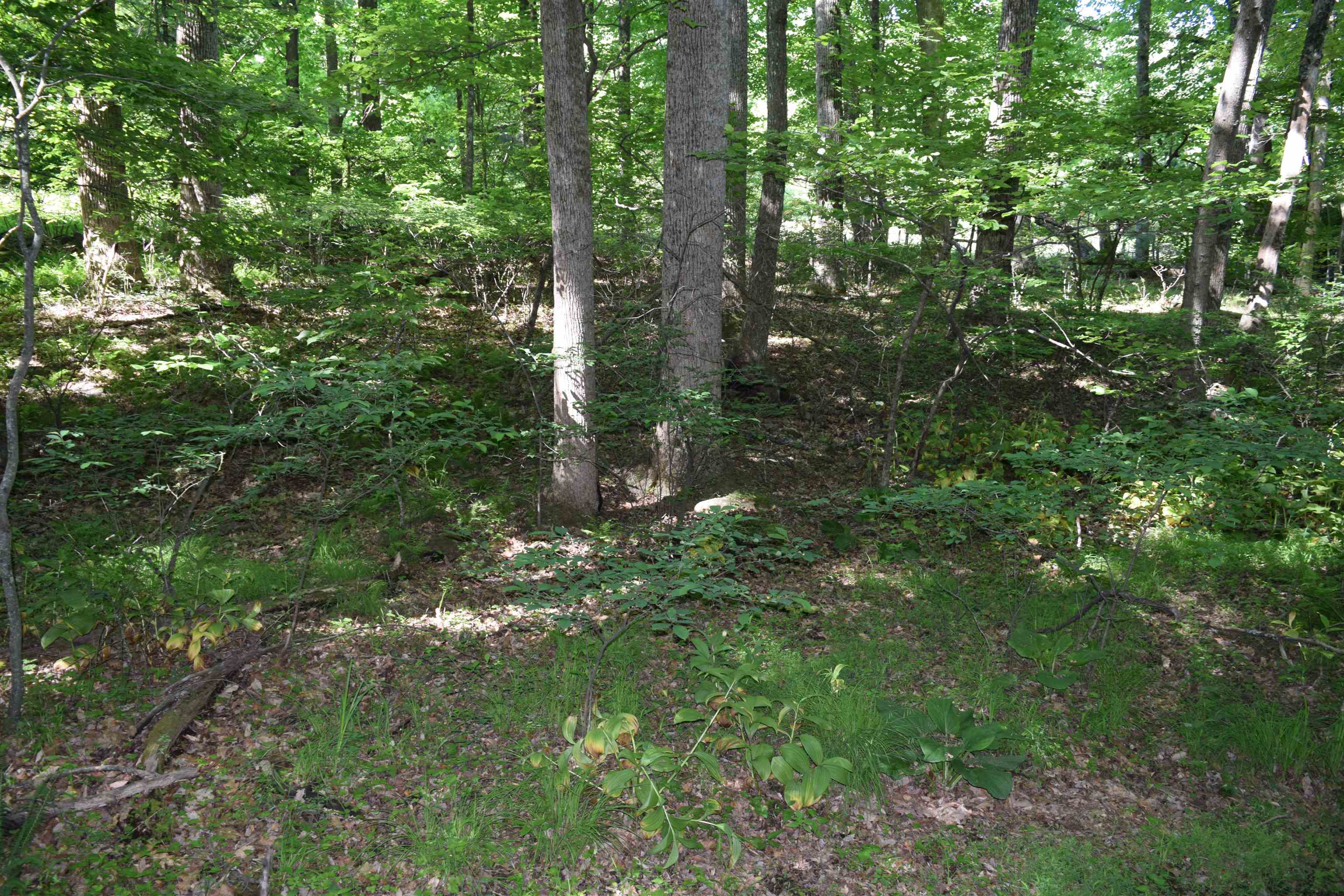 812 Conner Grove Road Willis VA 24380