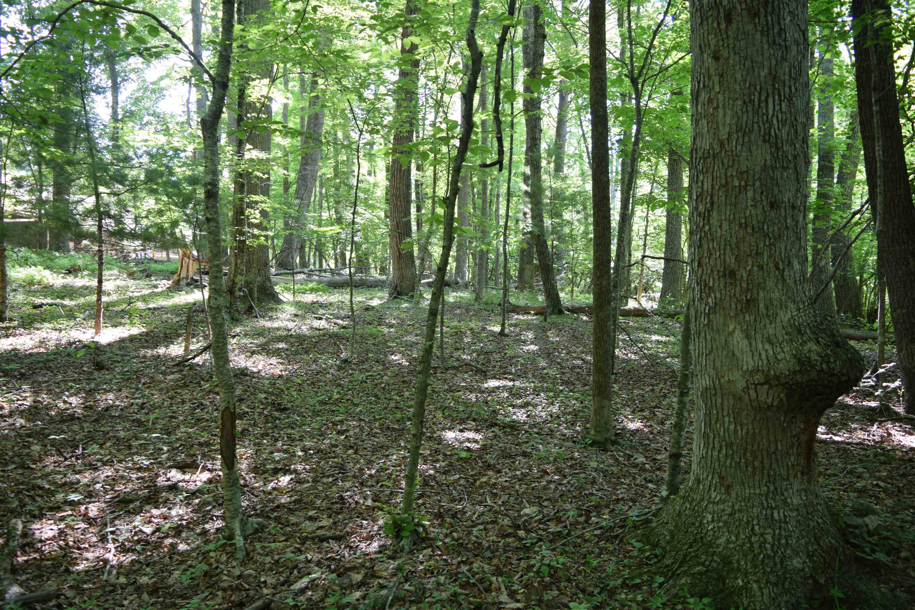 812 Conner Grove Road Willis VA 24380