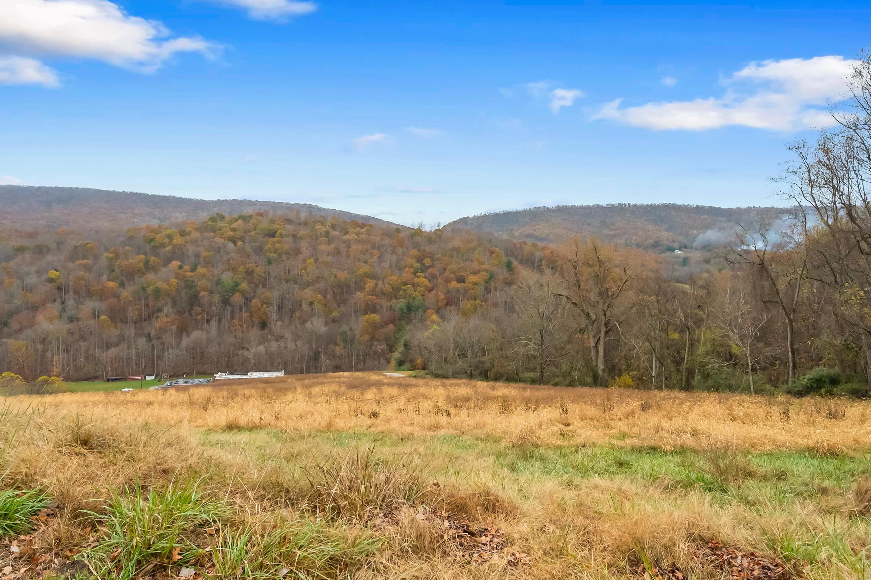 473 Blue Grass Trail Newport VA 24128