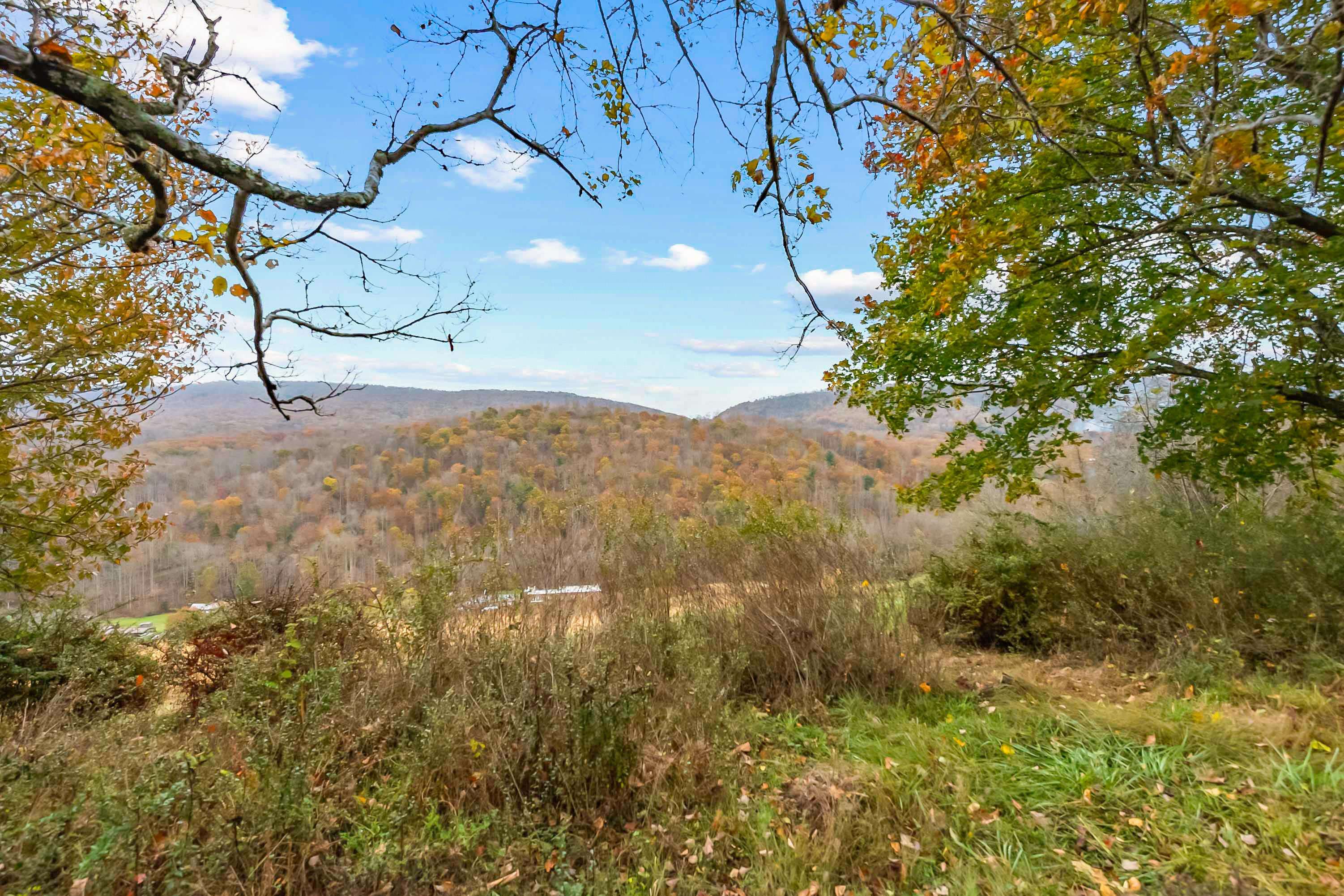 473 Blue Grass Trail Newport VA 24128