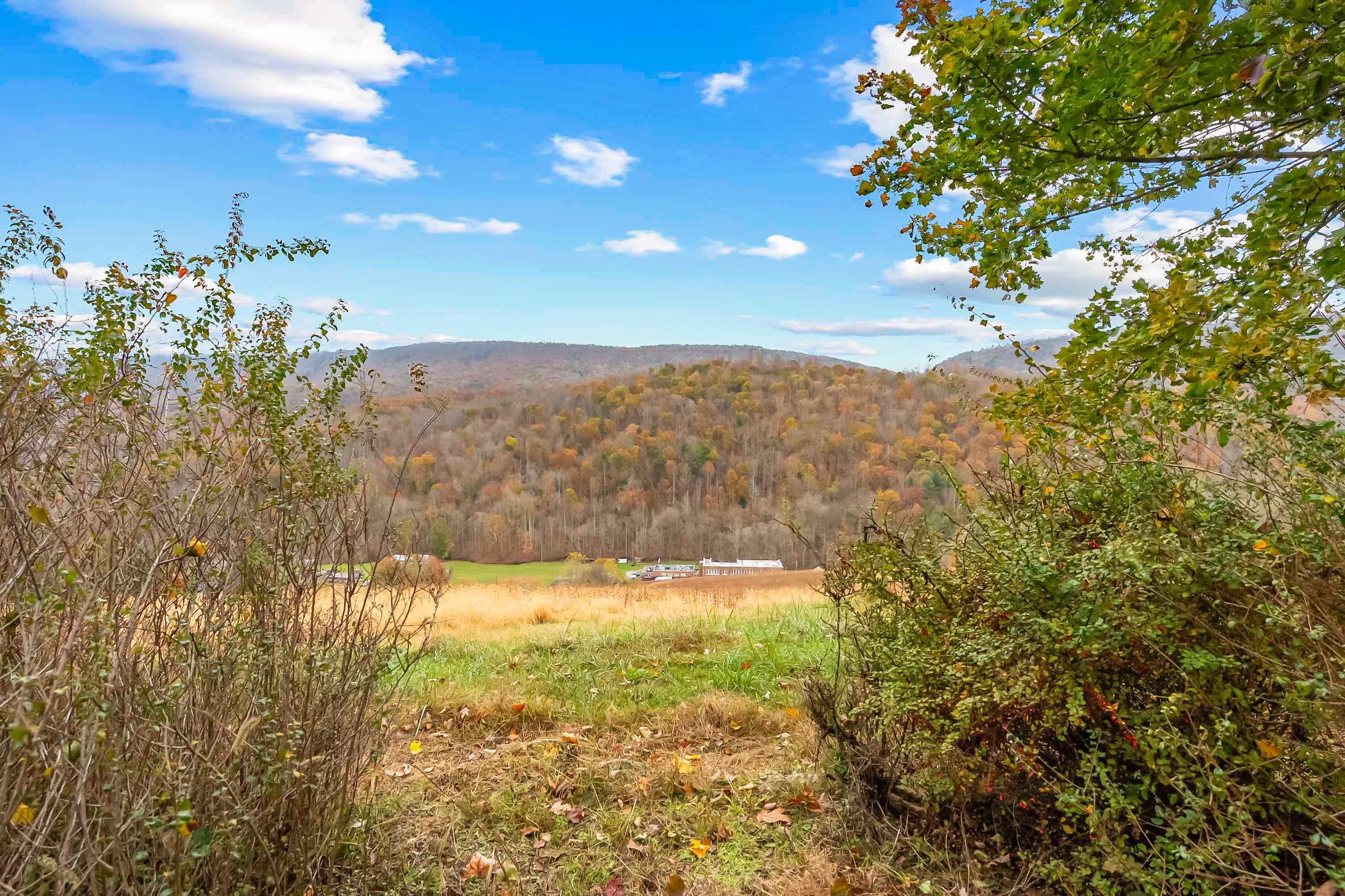 473 Blue Grass Trail Newport VA 24128