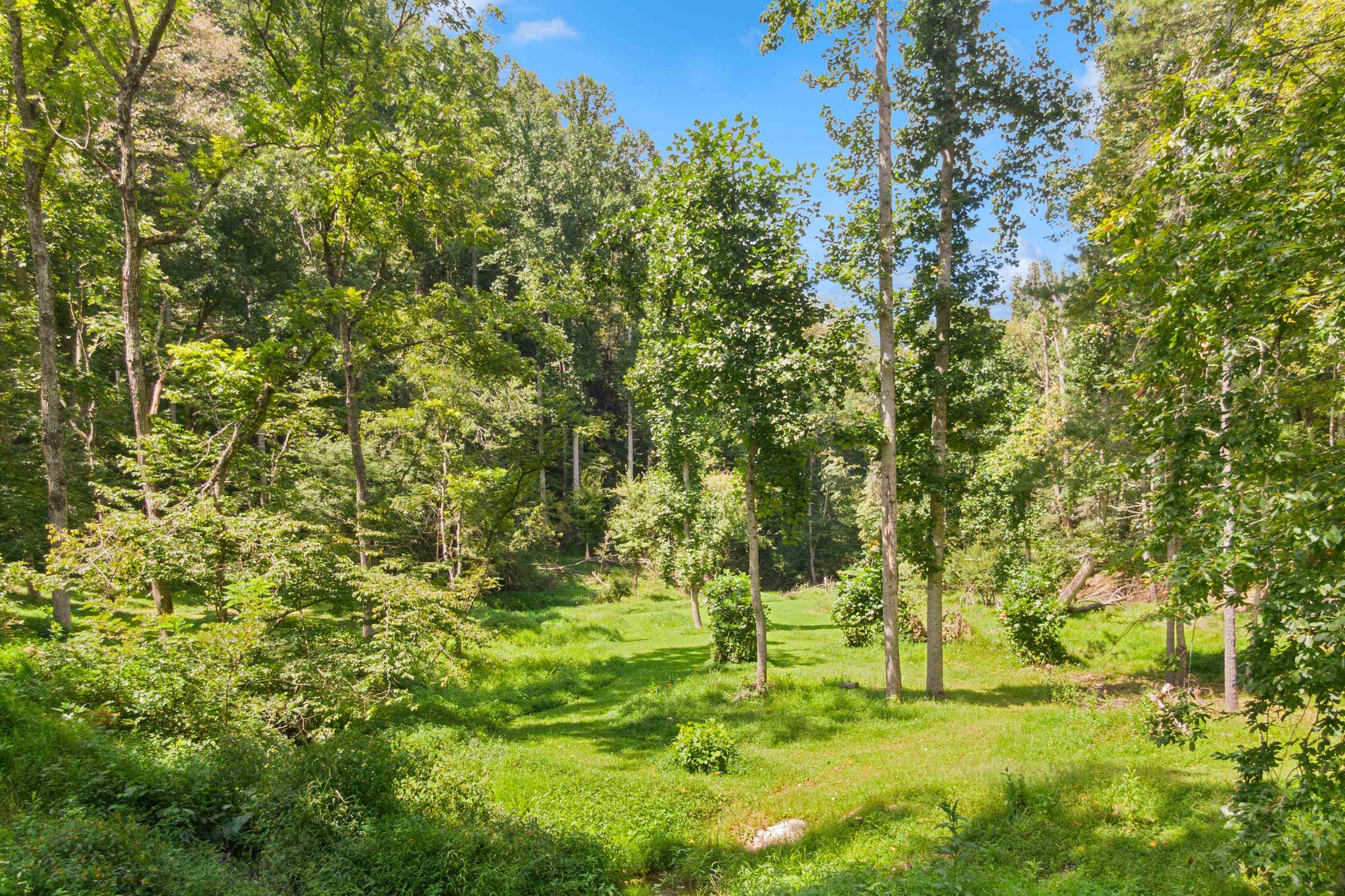 4681 Fishers View Road Pilot VA 24138