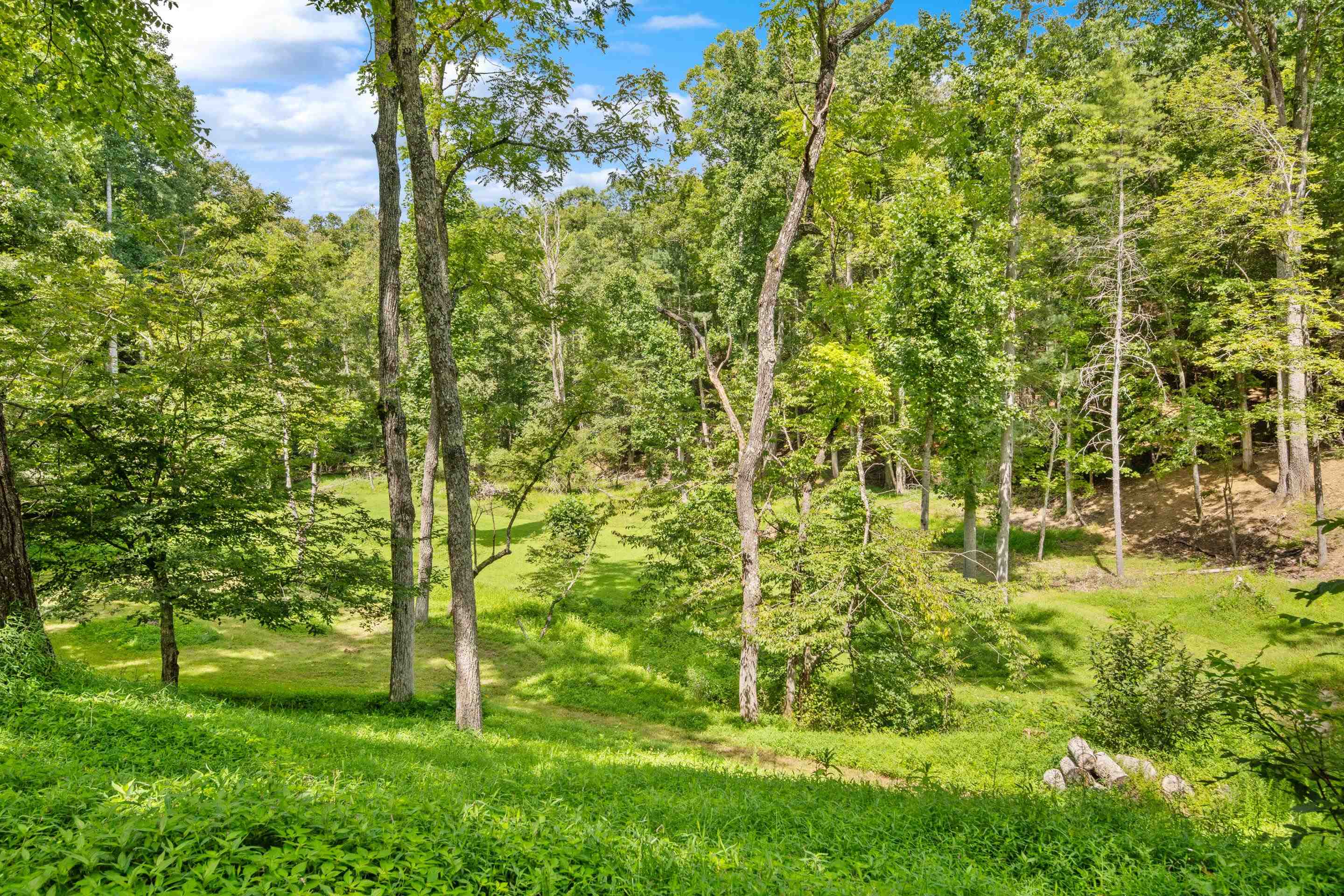4681 Fishers View Road Pilot VA 24138