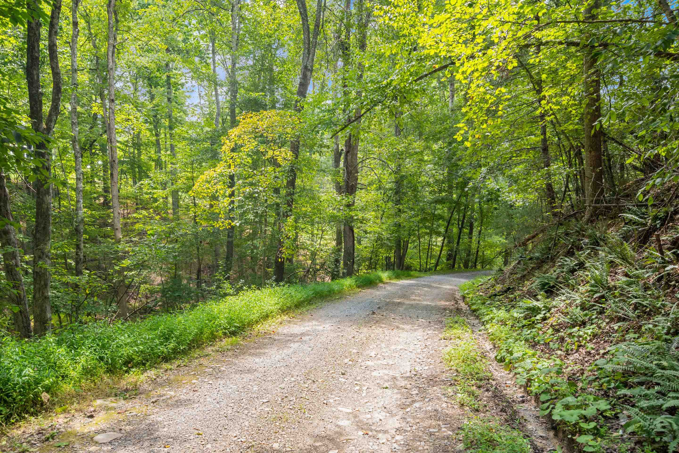 4681 Fishers View Road Pilot VA 24138